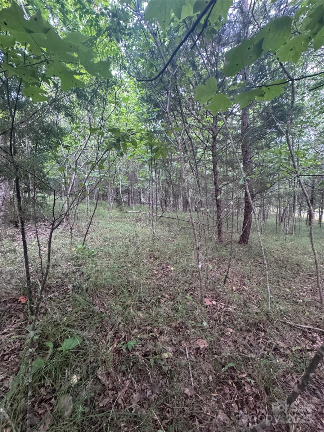 0 Cross Creek Drive #67 - Photo 15