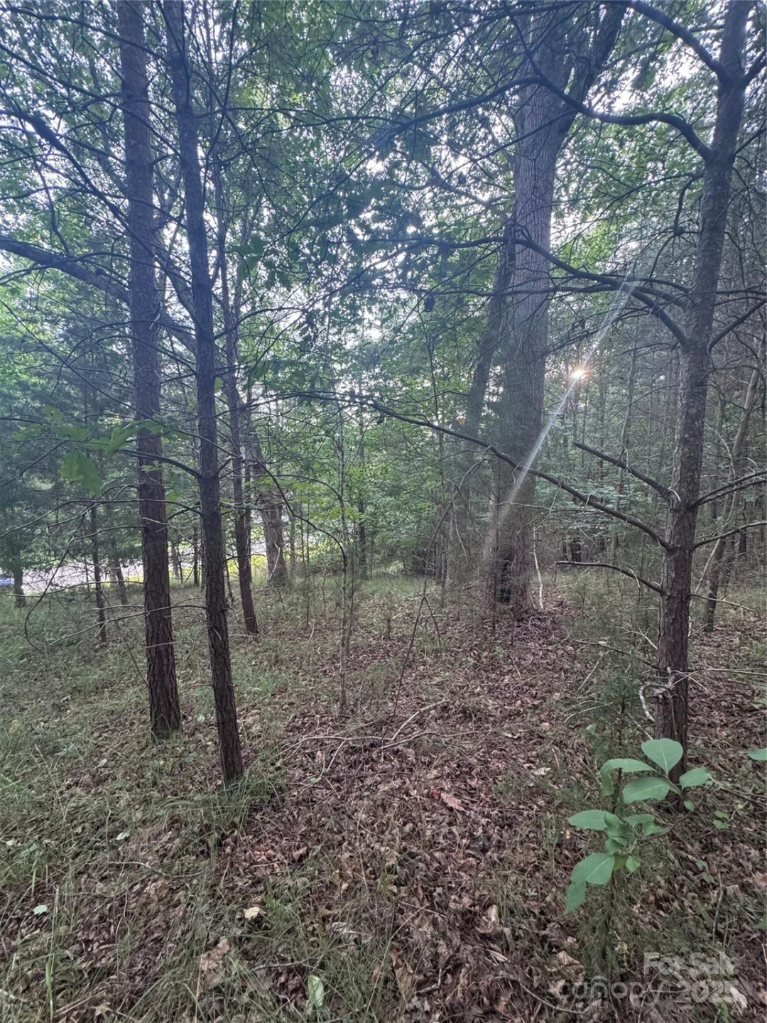 0 Cross Creek Drive #67 - Photo 3