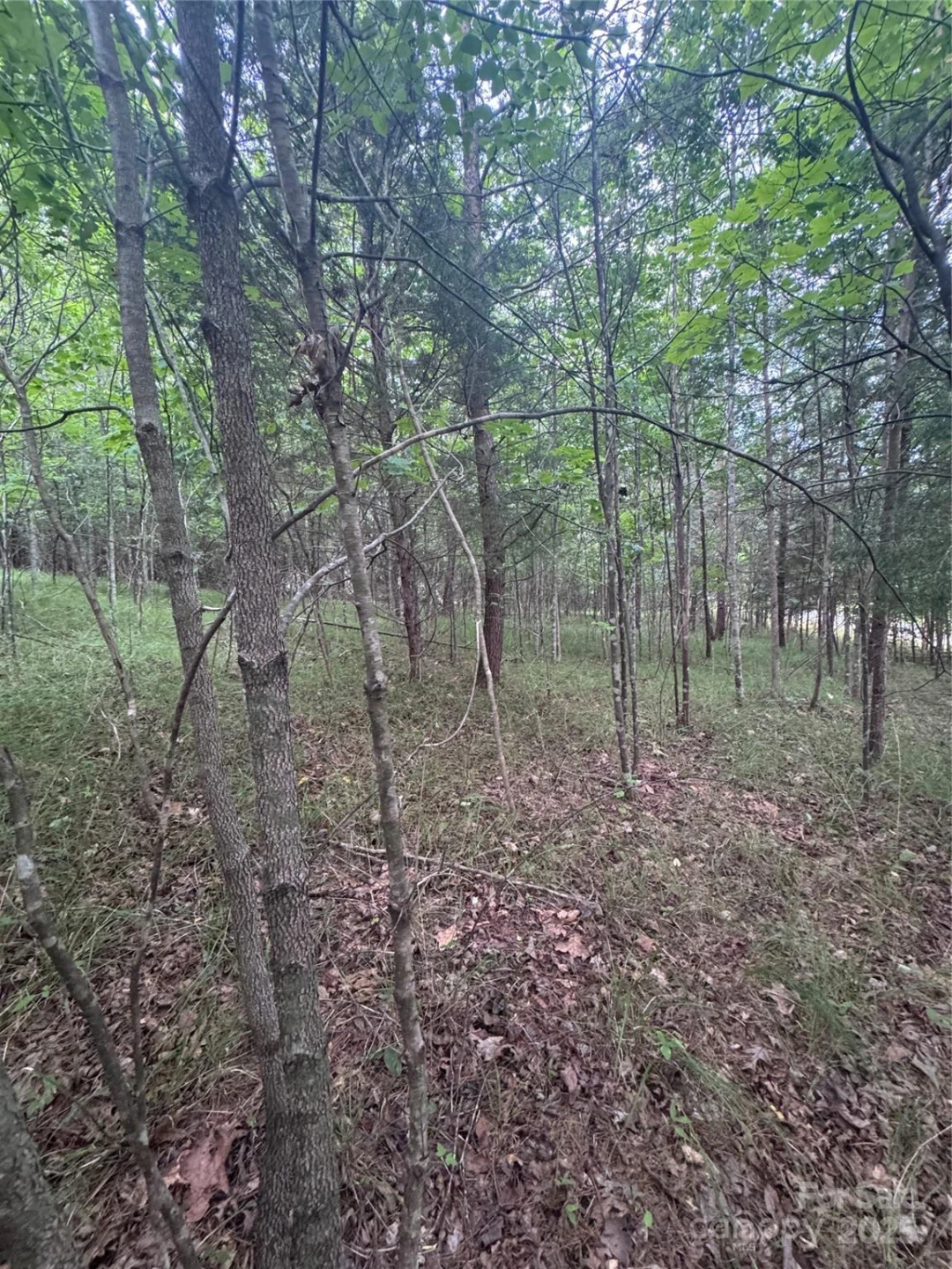 0 Cross Creek Drive #67 - Photo 4