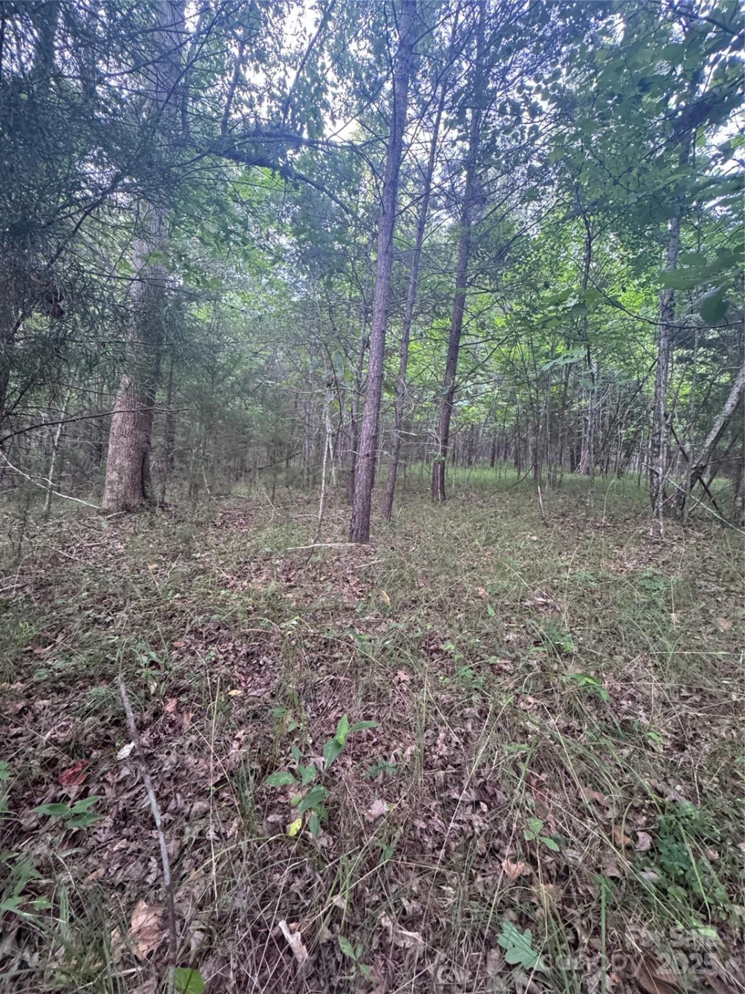 0 Cross Creek Drive #67 - Photo 5