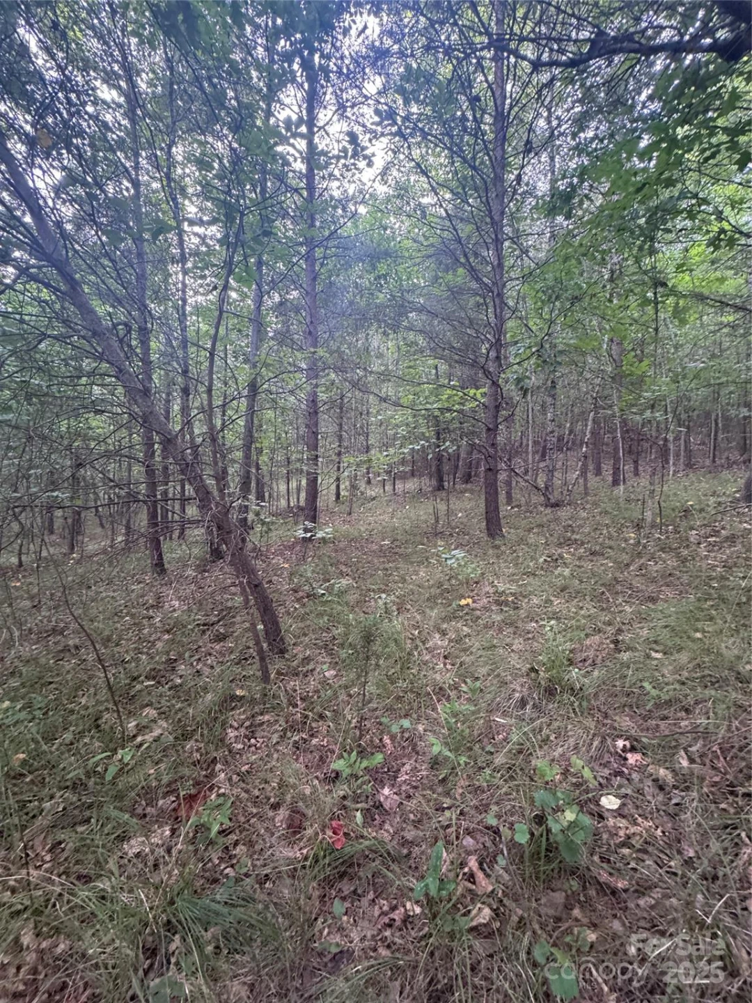 0 Cross Creek Drive #67 - Photo 8