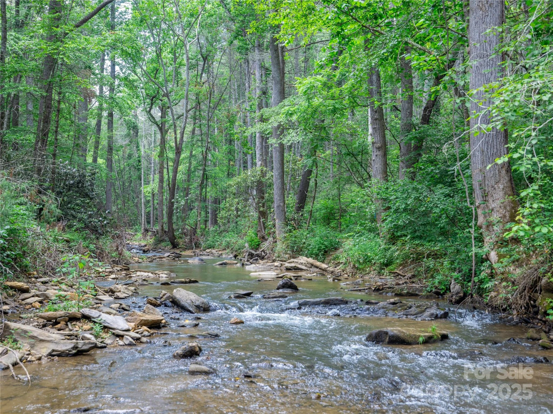 52 Trail Top Drive - Photo 2