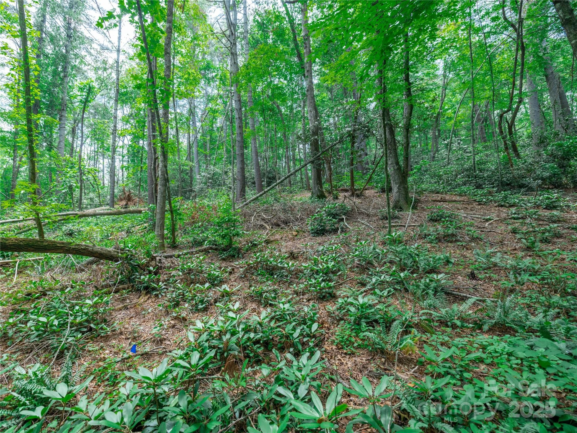 52 Trail Top Drive - Photo 12