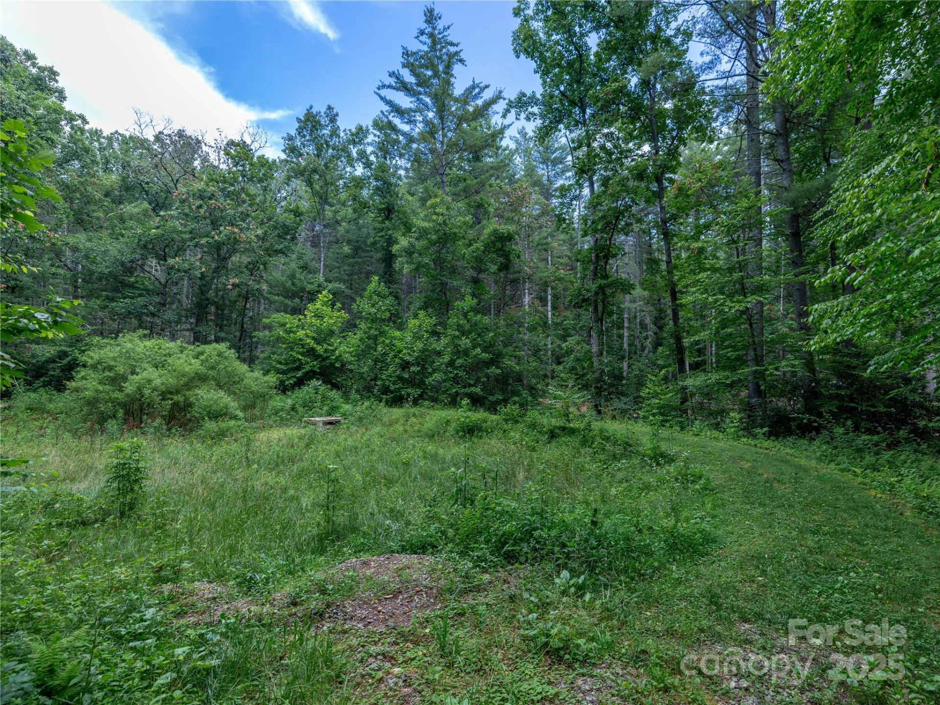 52 Trail Top Drive - Photo 21