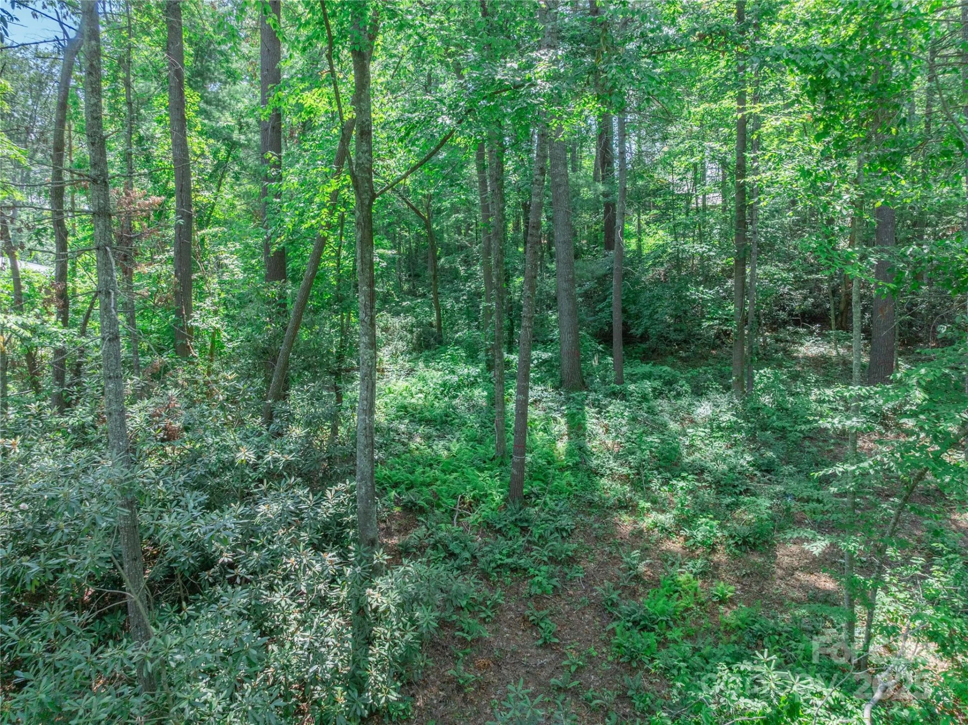 52 Trail Top Drive - Photo 25