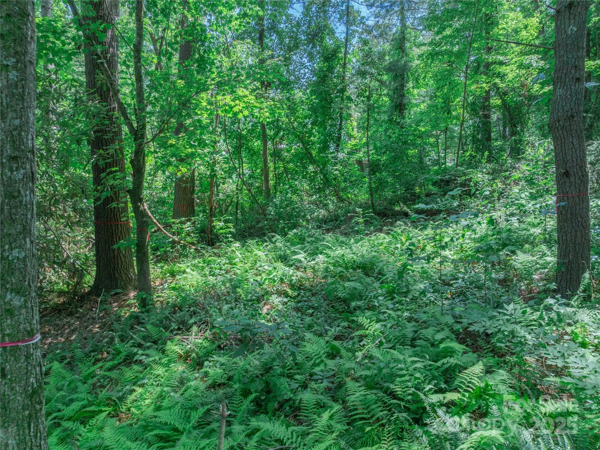 52 Trail Top Drive - Photo 27