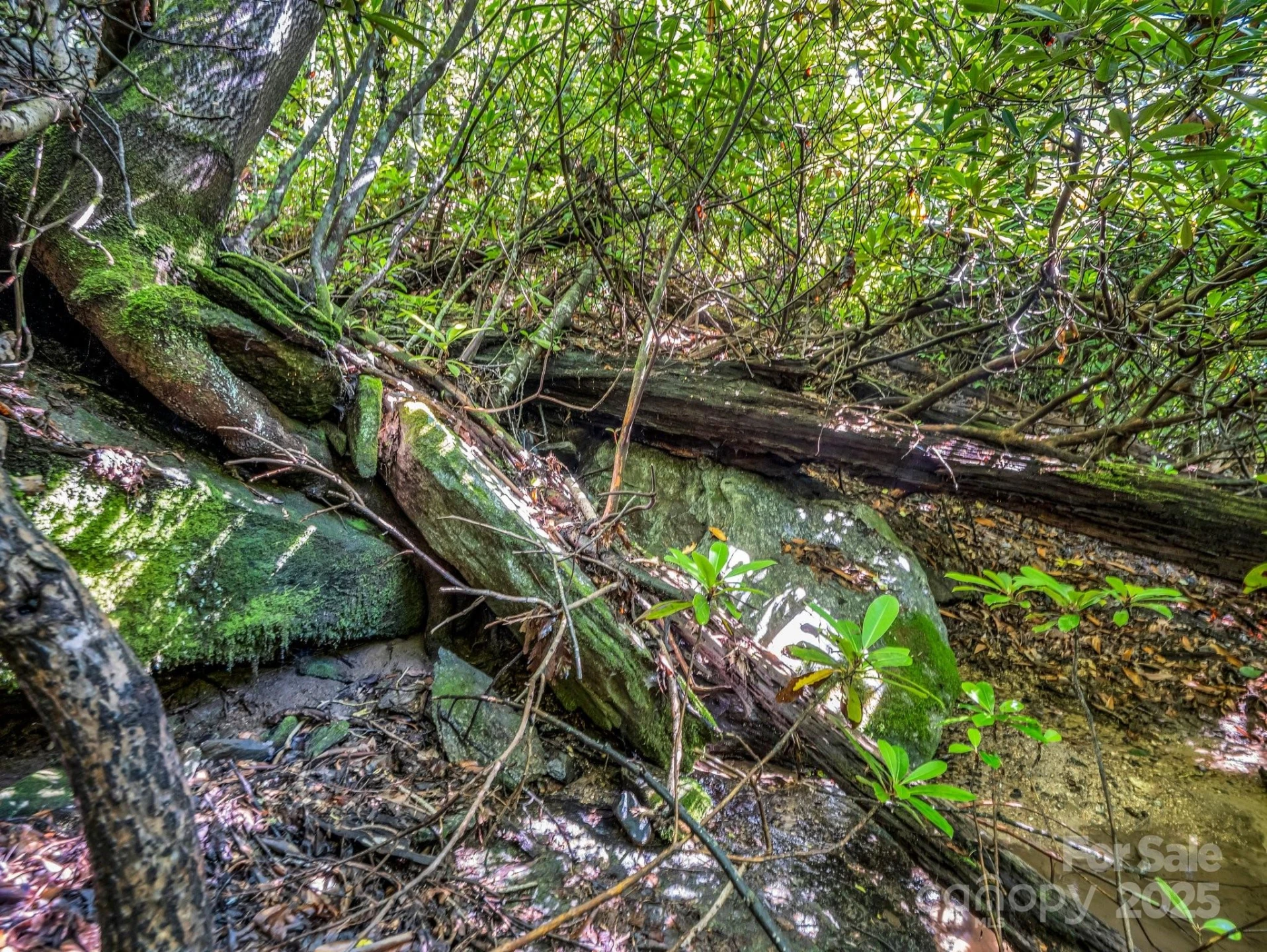 TBD Climbing Road - Photo 2