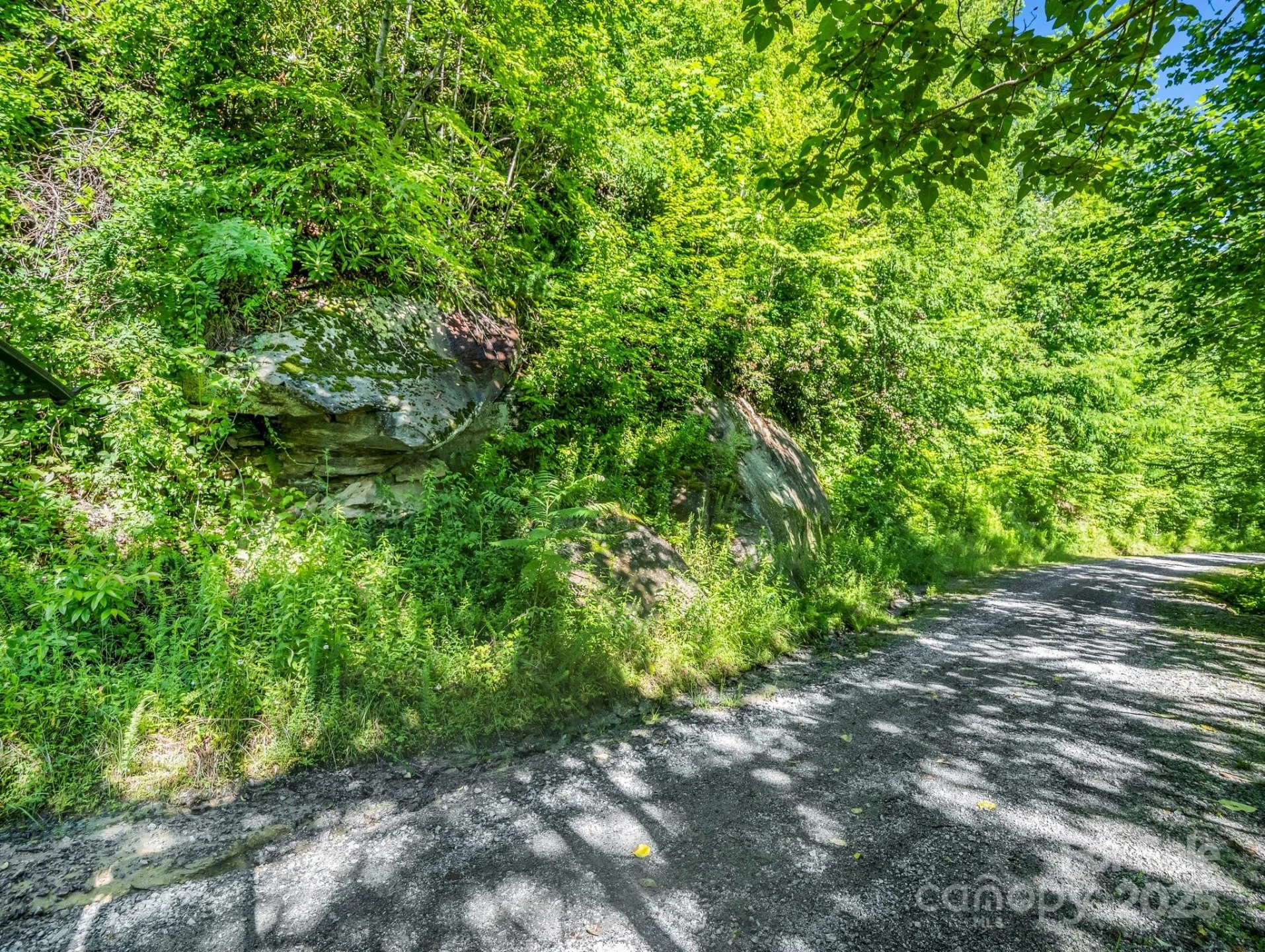 TBD Climbing Road - Photo 12