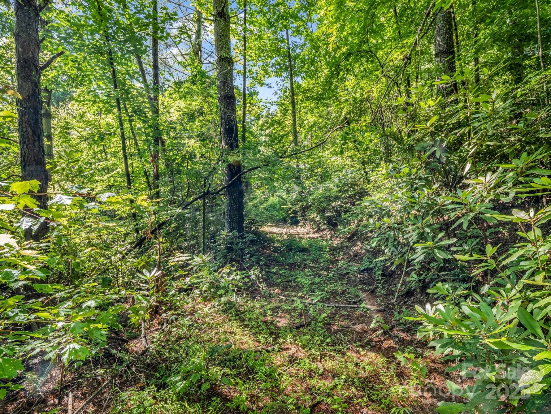 TBD Climbing Road - Photo 4