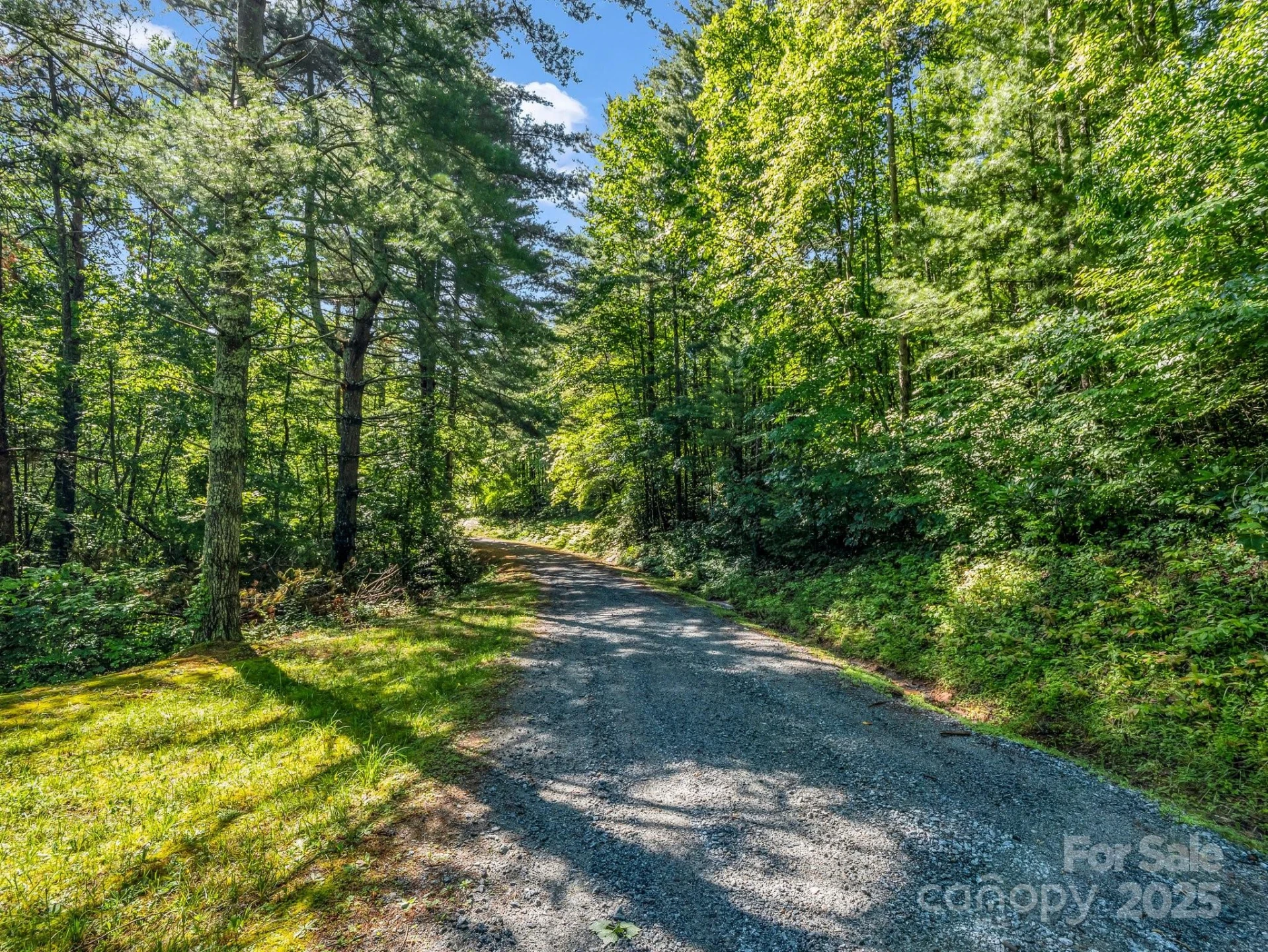 TBD Climbing Road - Photo 6