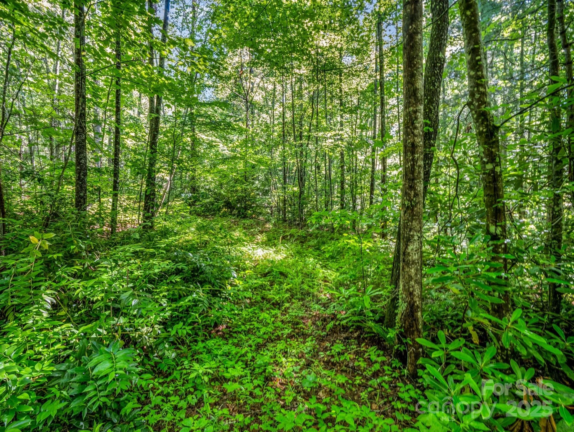 TBD Climbing Road - Photo 8