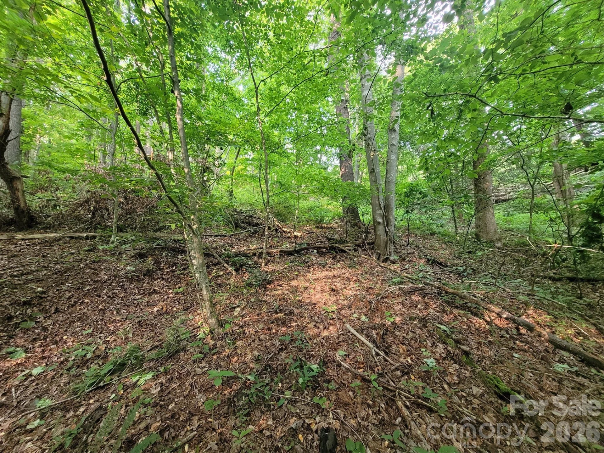 00 Serendipity Lane #111 - Photo 5
