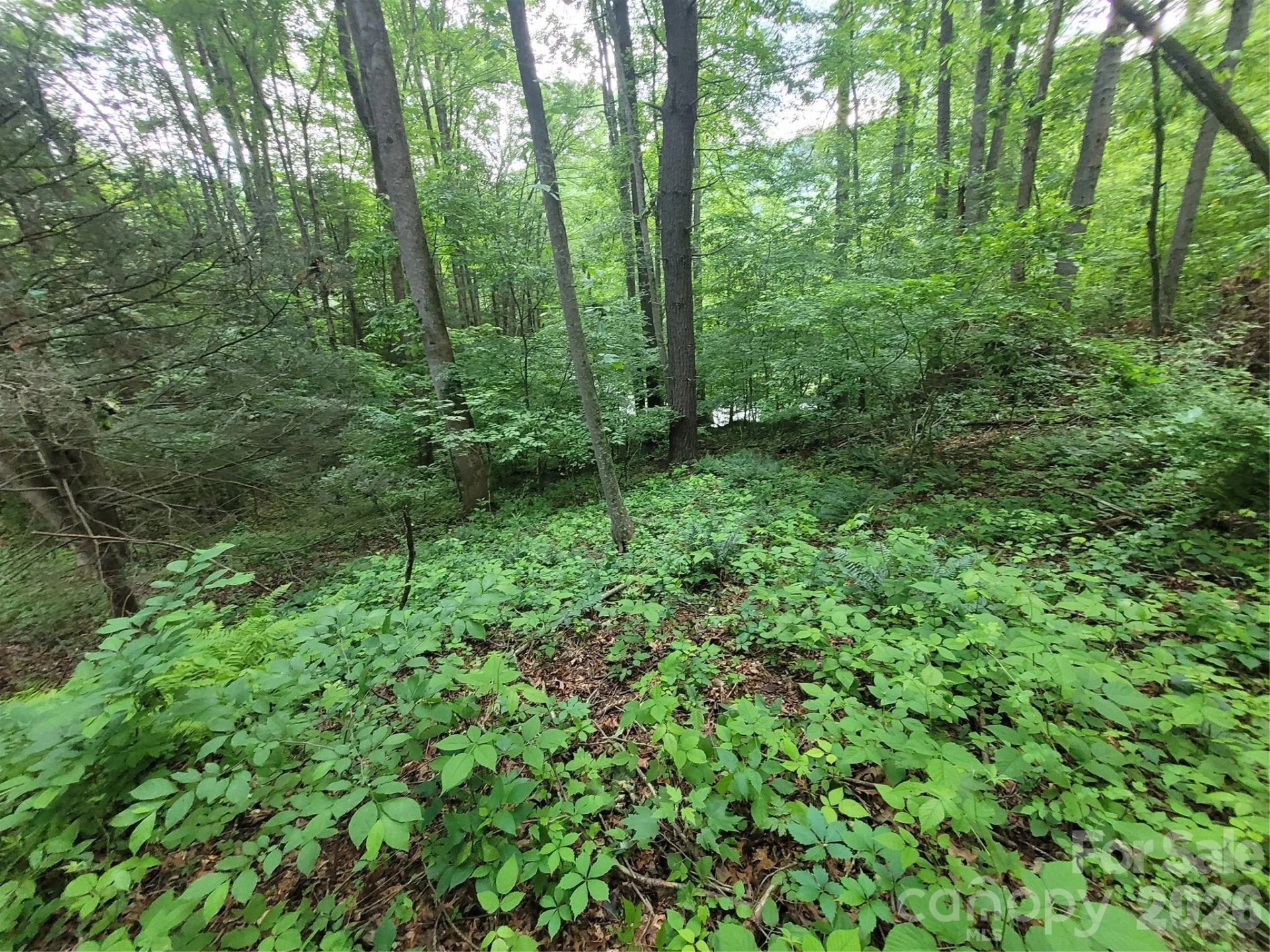 00 Serendipity Lane #111 - Photo 13