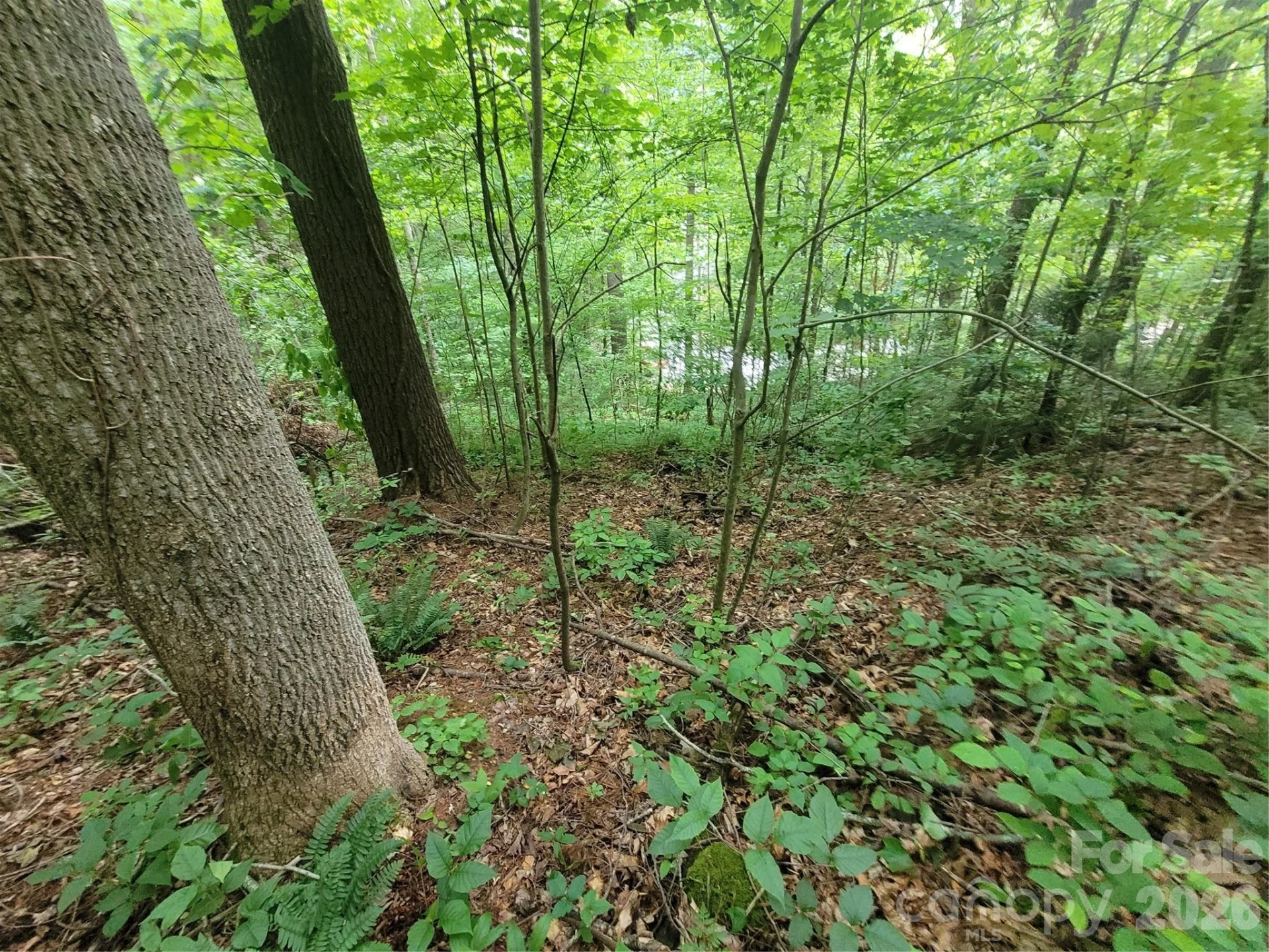 00 Serendipity Lane #111 - Photo 17