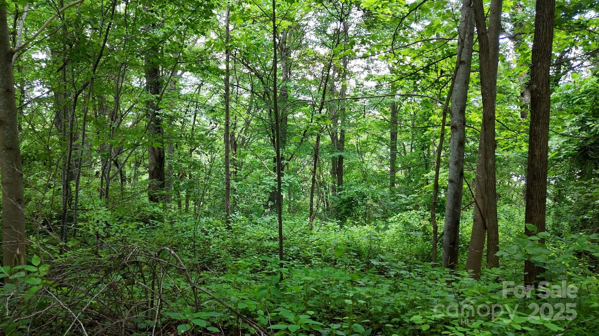 00 Liner Cove Road #2 - Photo 4