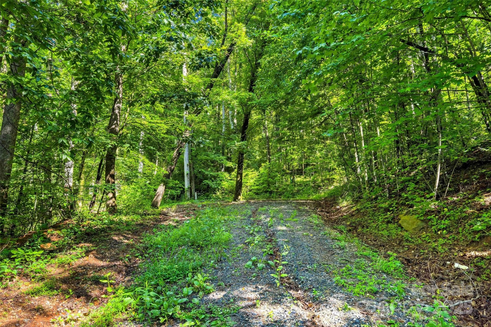 Lot # 77 Hunnicut Spur Road - Photo 3