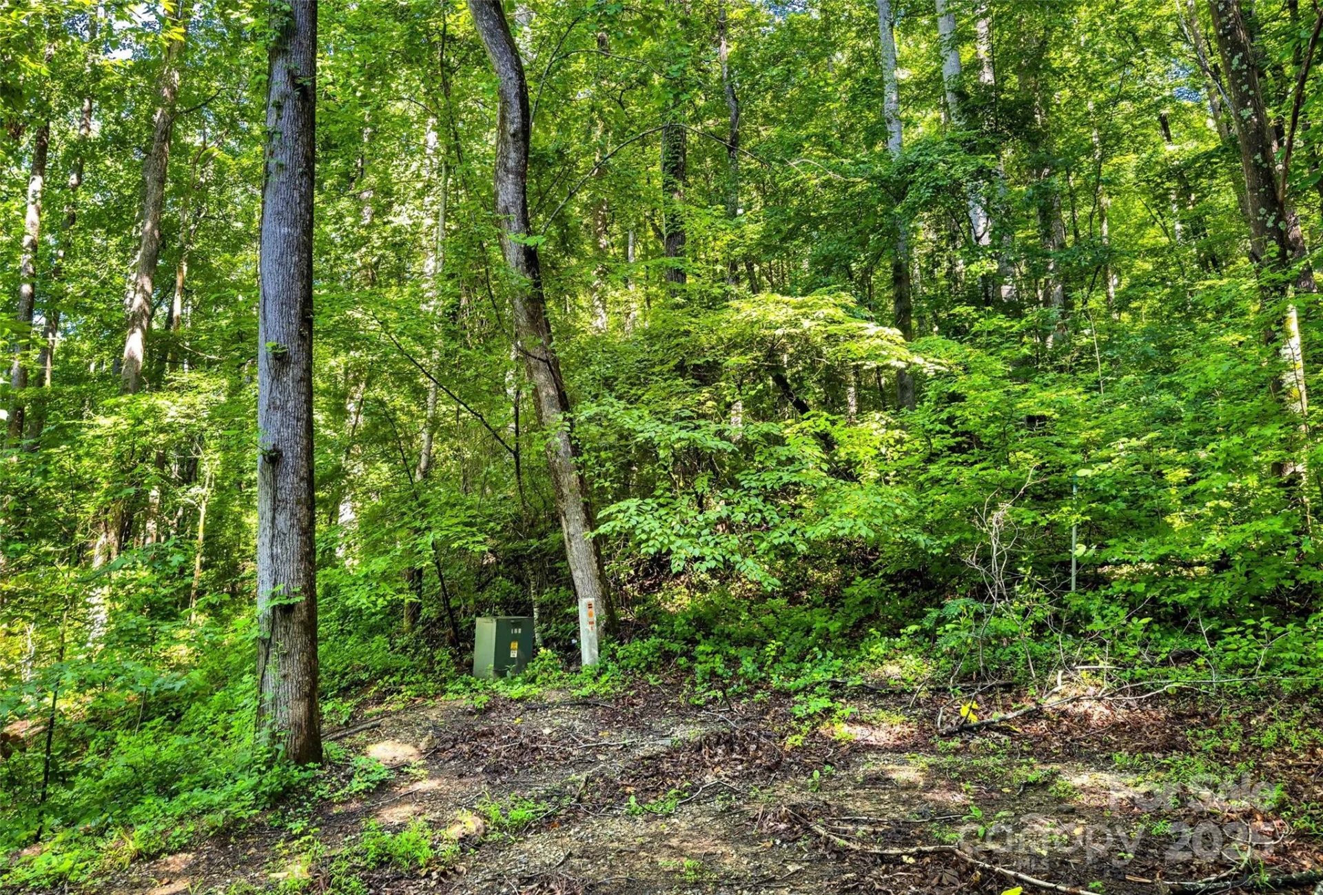 Lot # 77 Hunnicut Spur Road - Photo 5