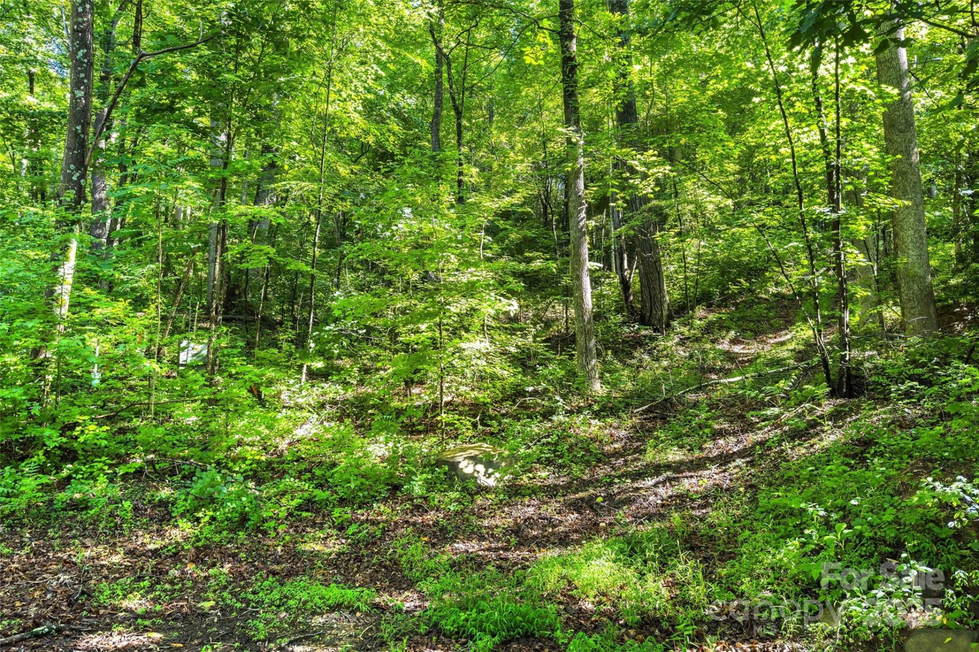 Lot # 77 Hunnicut Spur Road - Photo 6