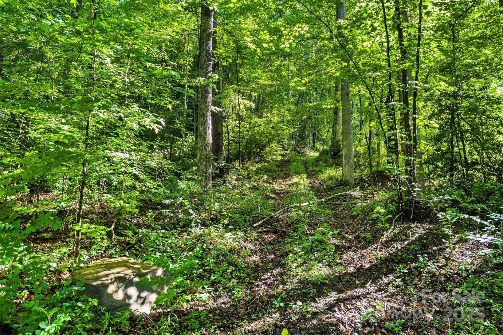 Lot # 77 Hunnicut Spur Road - Photo 8