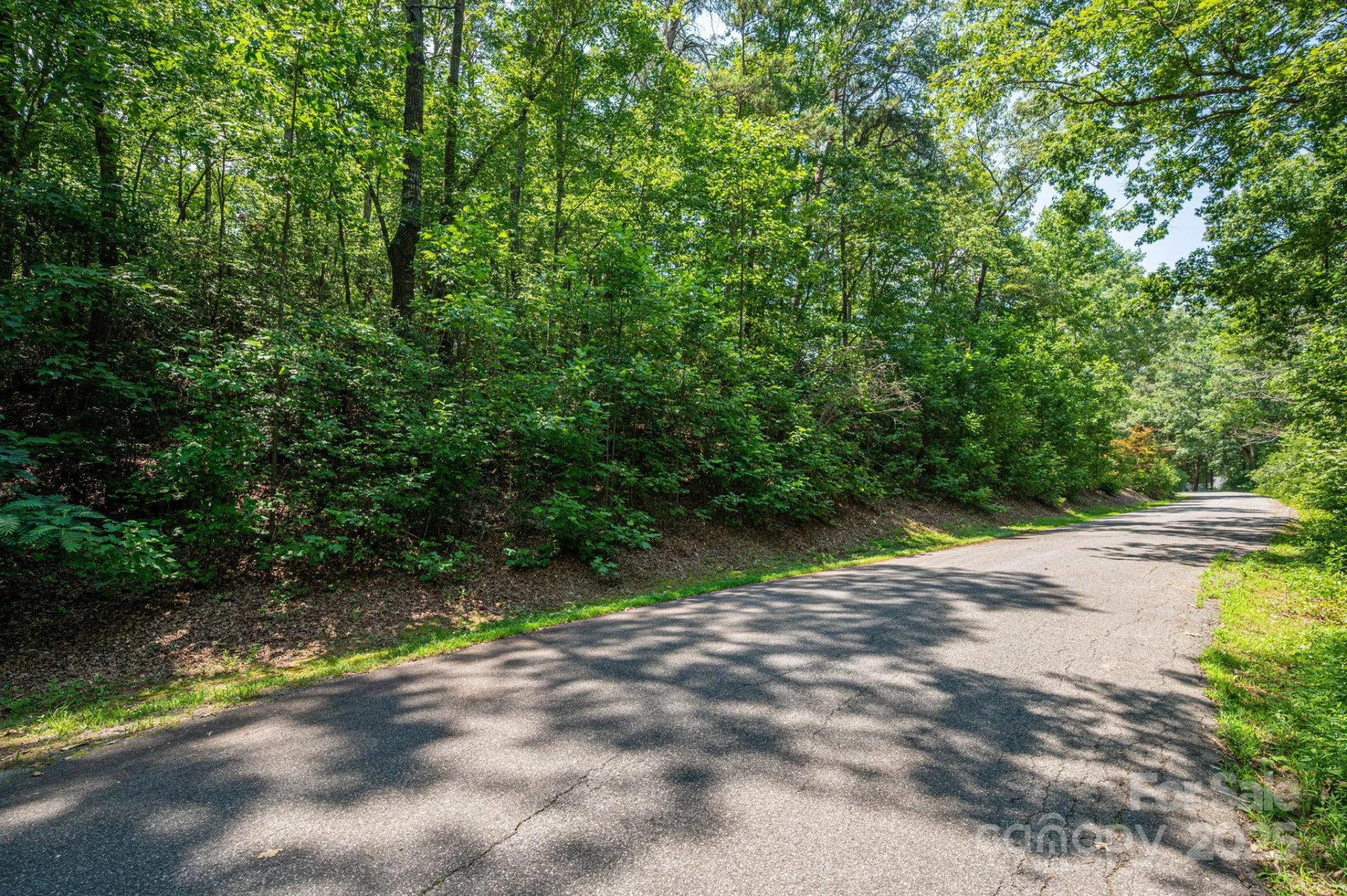 Lot #38 Moss Drive - Photo 11