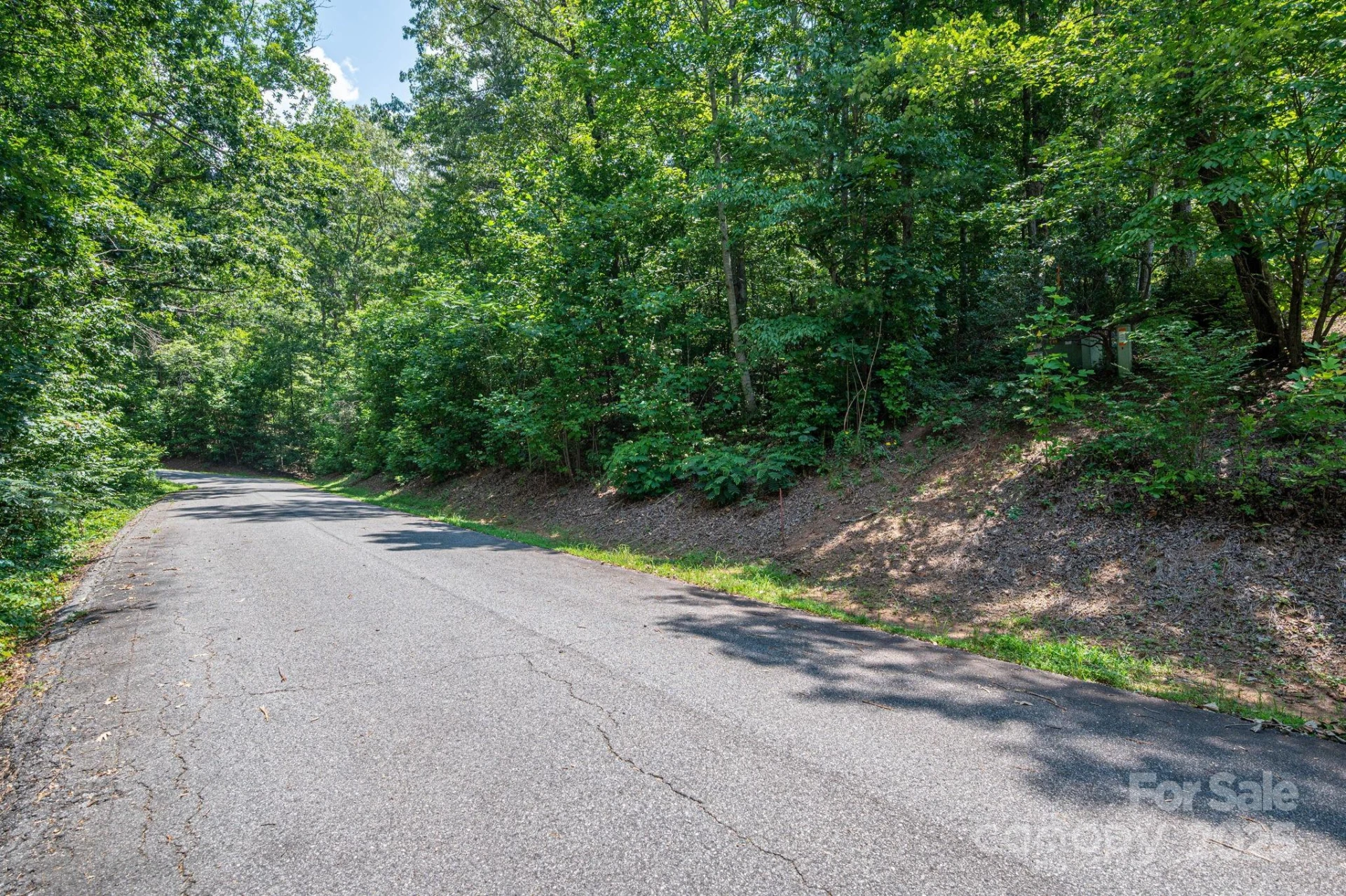 Lot #38 Moss Drive - Photo 7