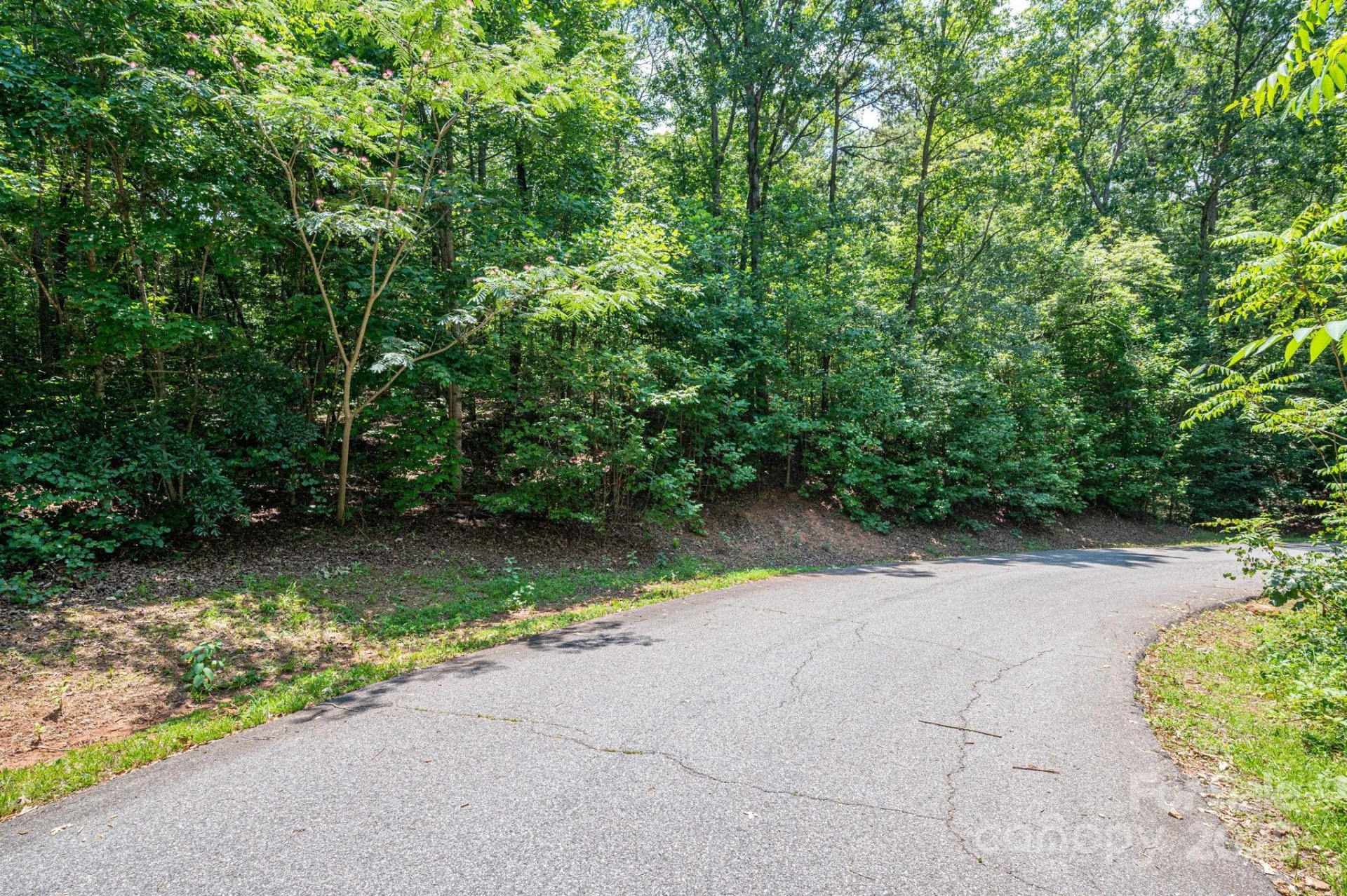 Lot #38 Moss Drive - Photo 8