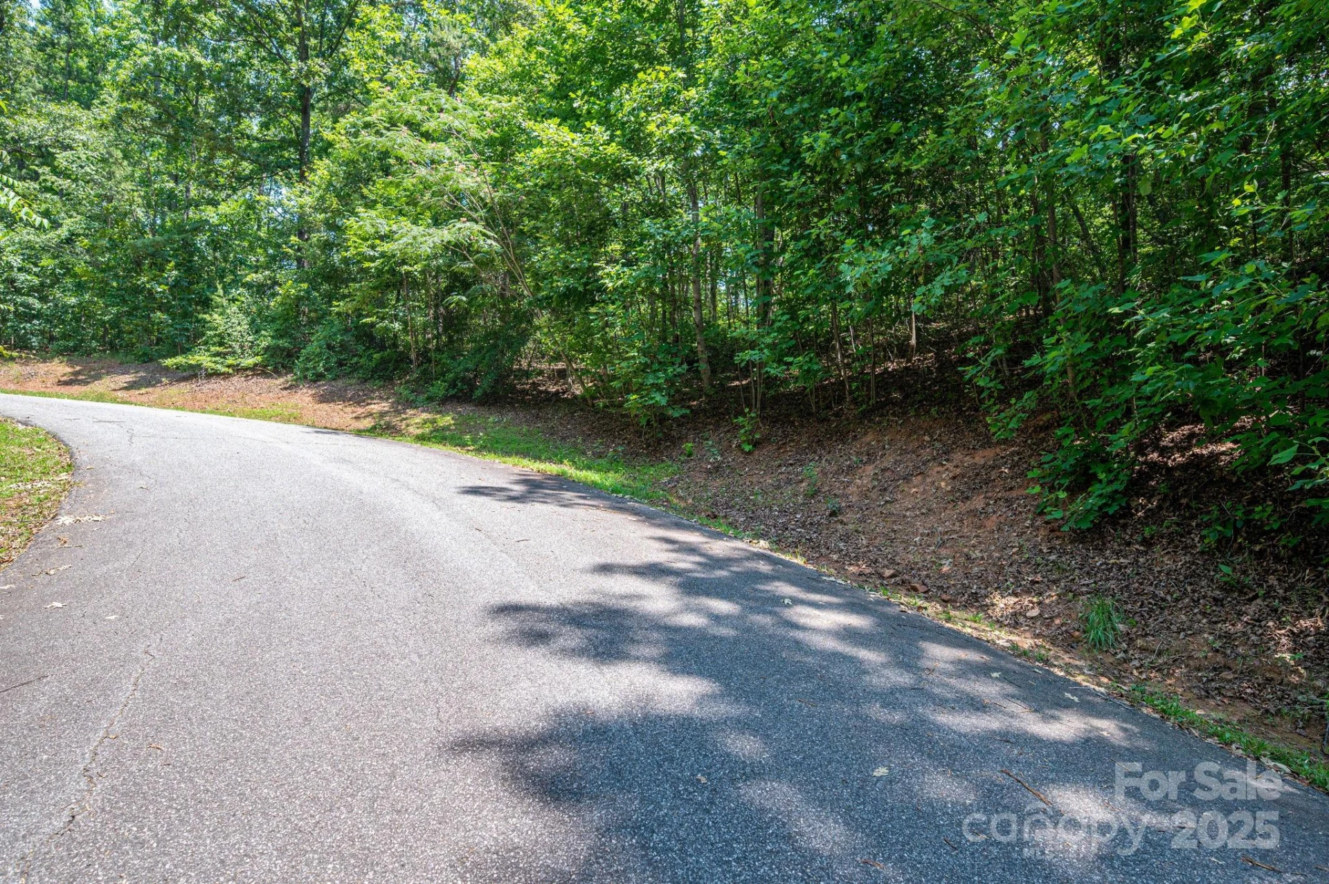 Lot #38 Moss Drive - Photo 9
