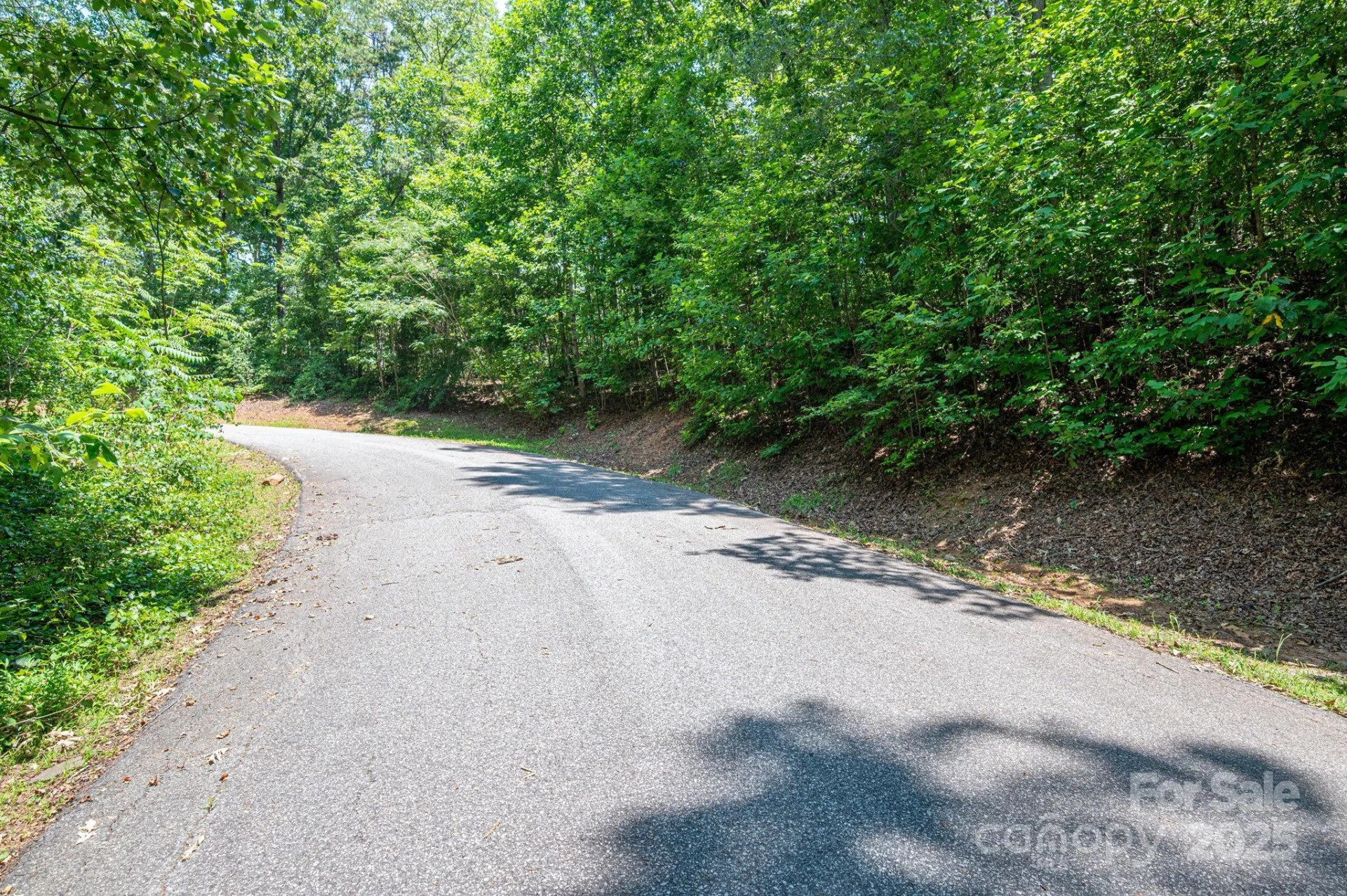 Lot #38 Moss Drive - Photo 10