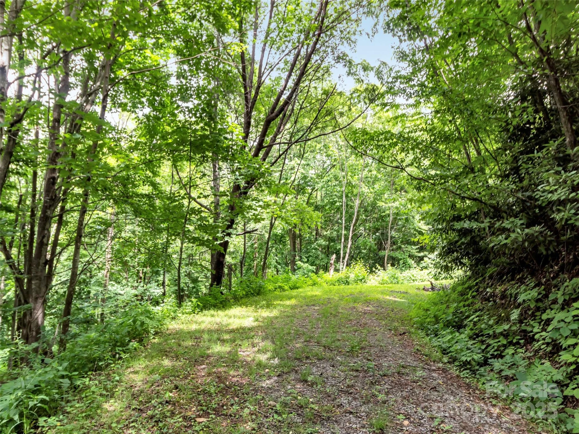 32 Sallywood Trail - Photo 2