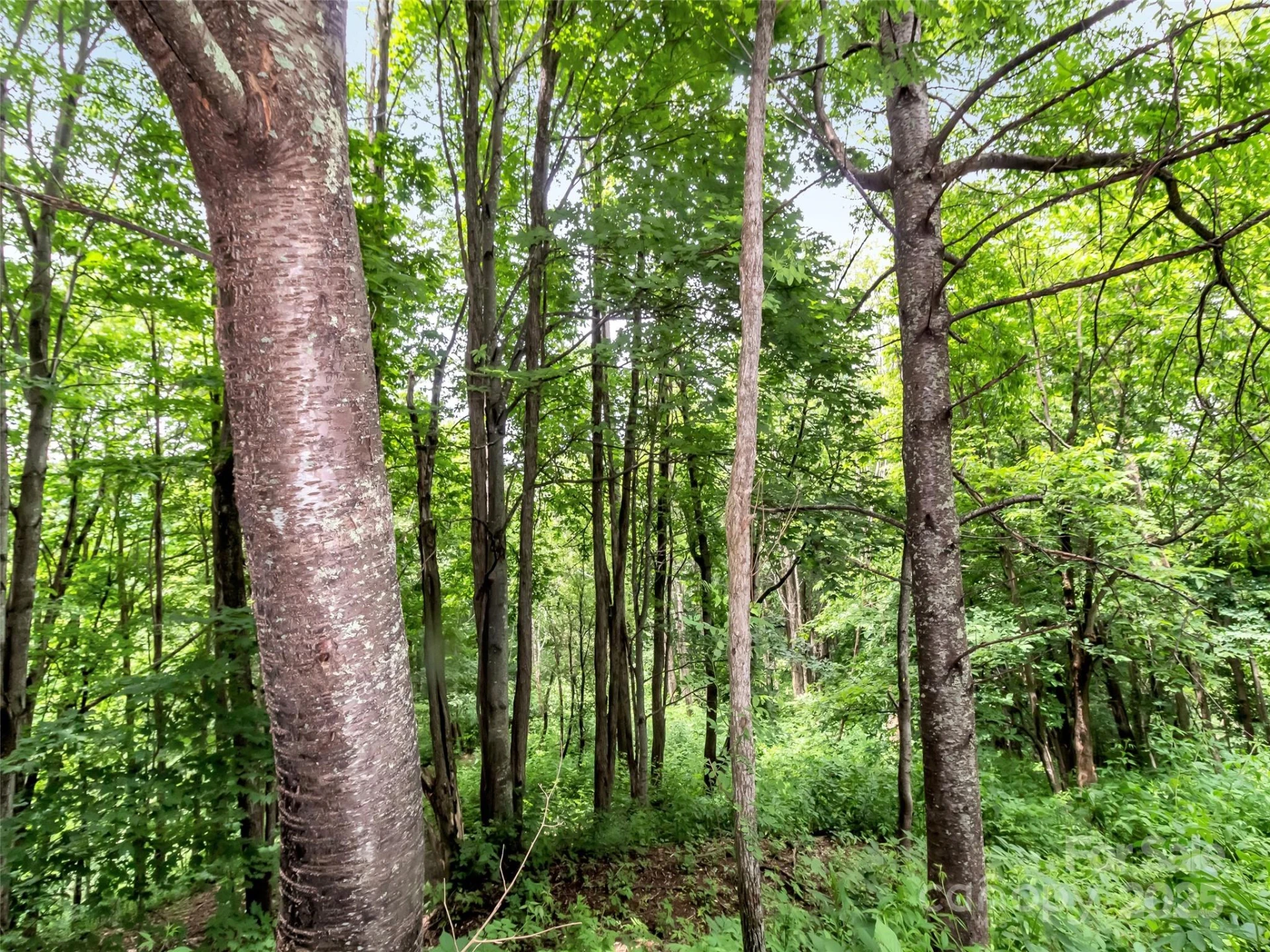 32 Sallywood Trail - Photo 14