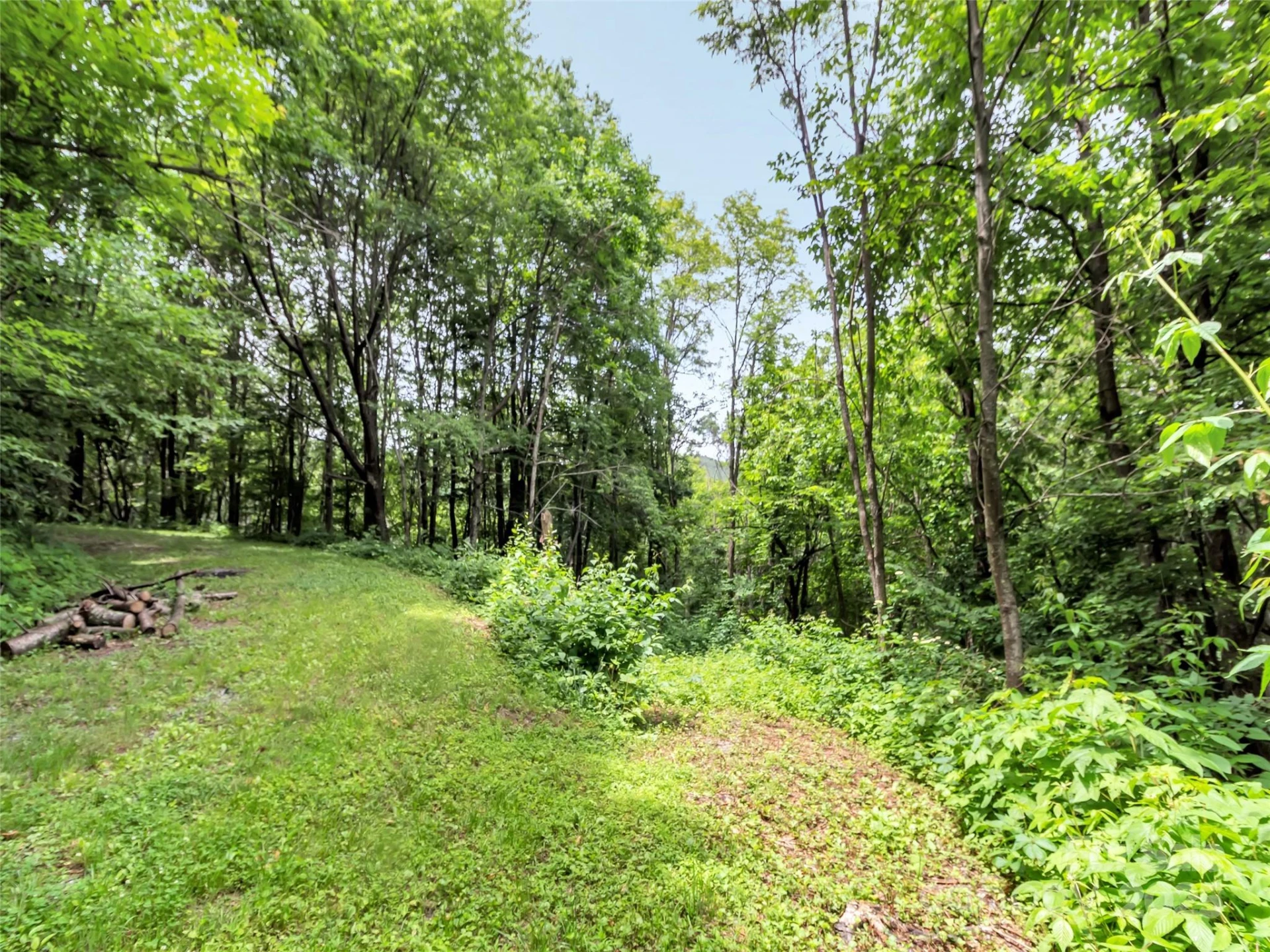 32 Sallywood Trail - Photo 3