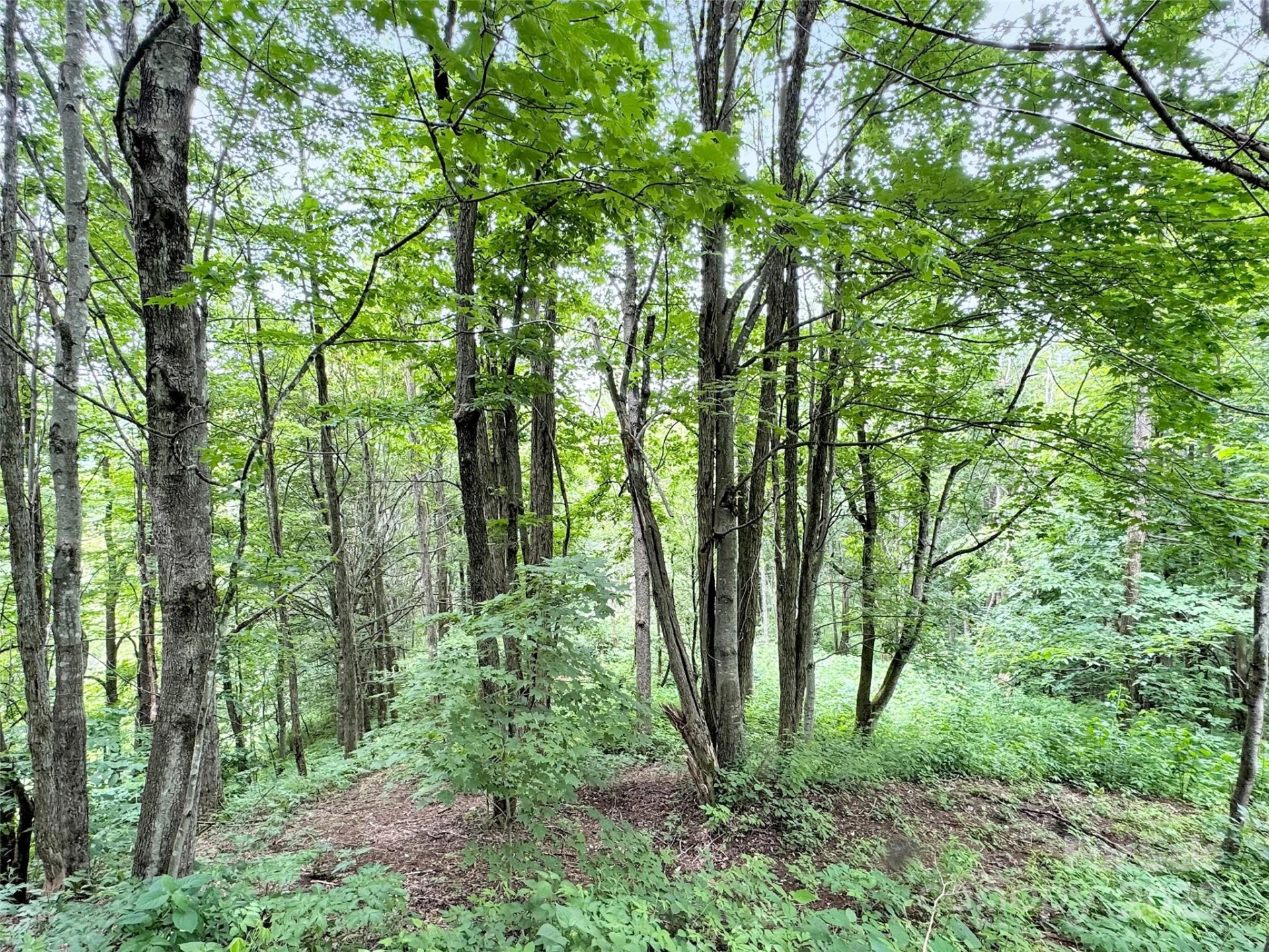 32 Sallywood Trail - Photo 8