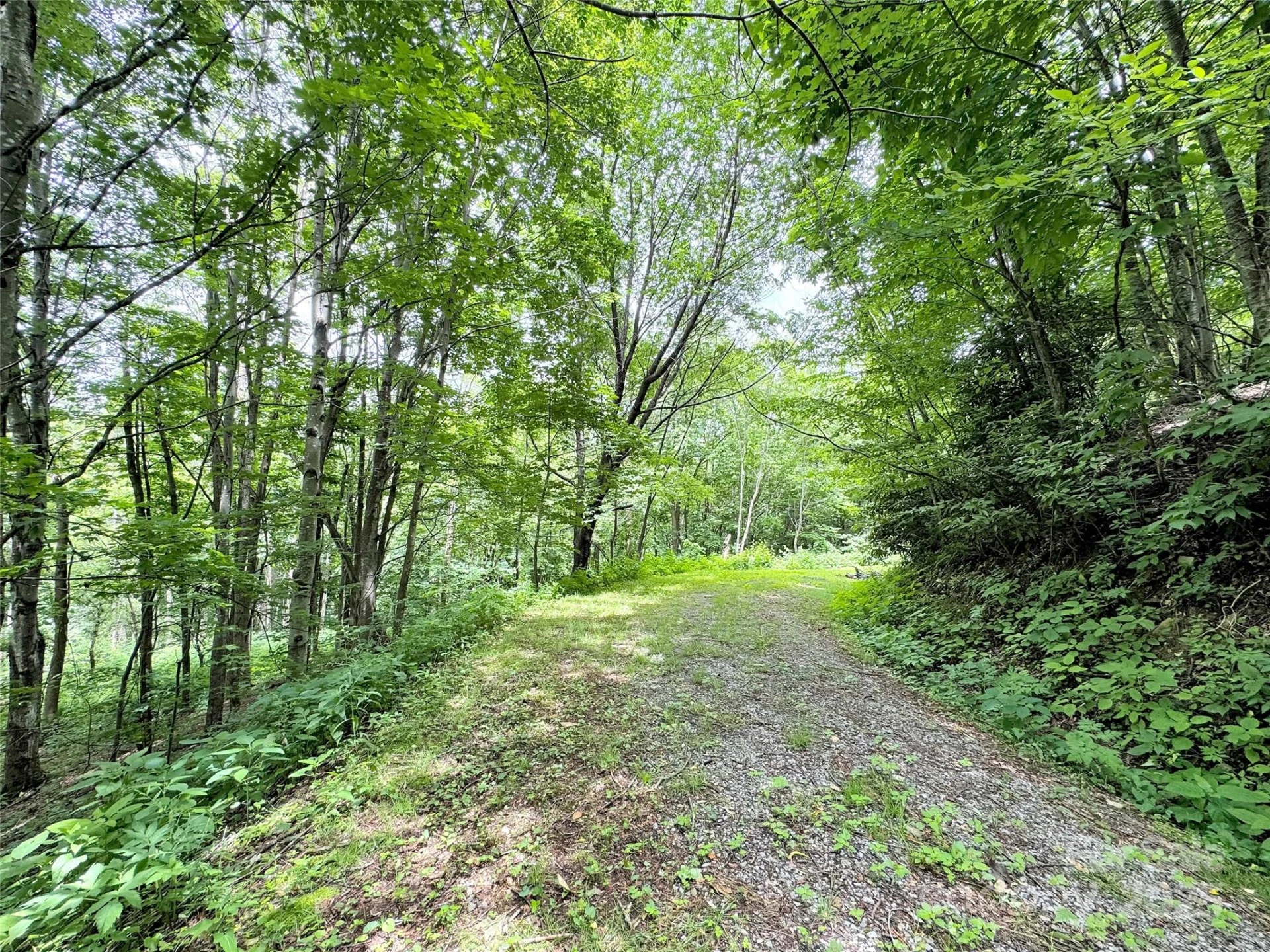 32 Sallywood Trail - Photo 9