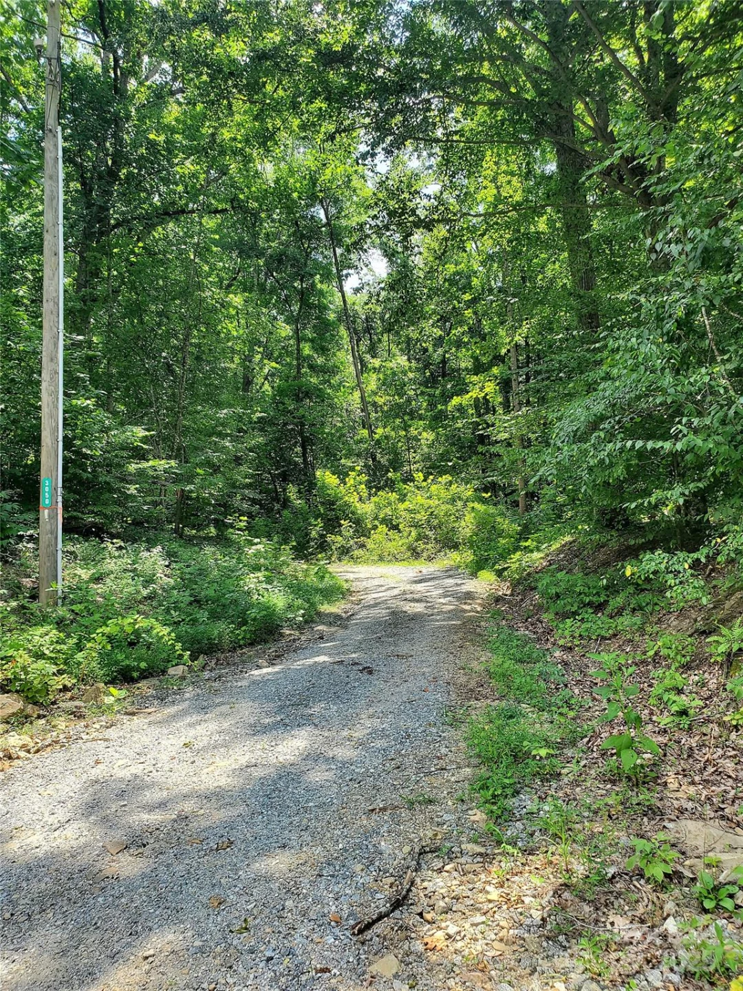 * Green River Cove Road - Photo 12