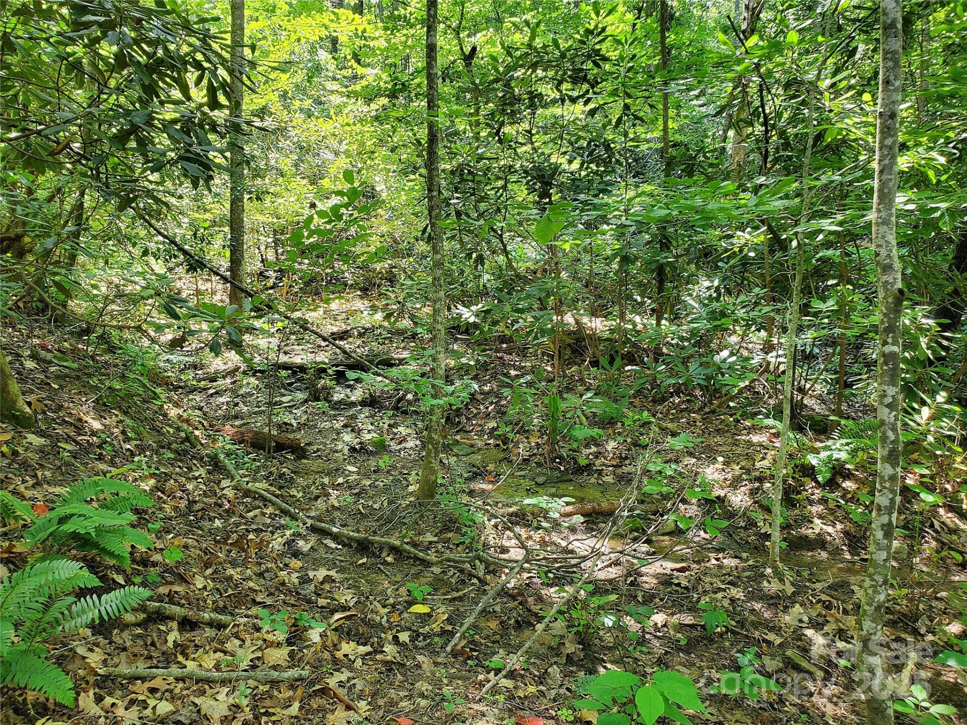 * Green River Cove Road - Photo 13