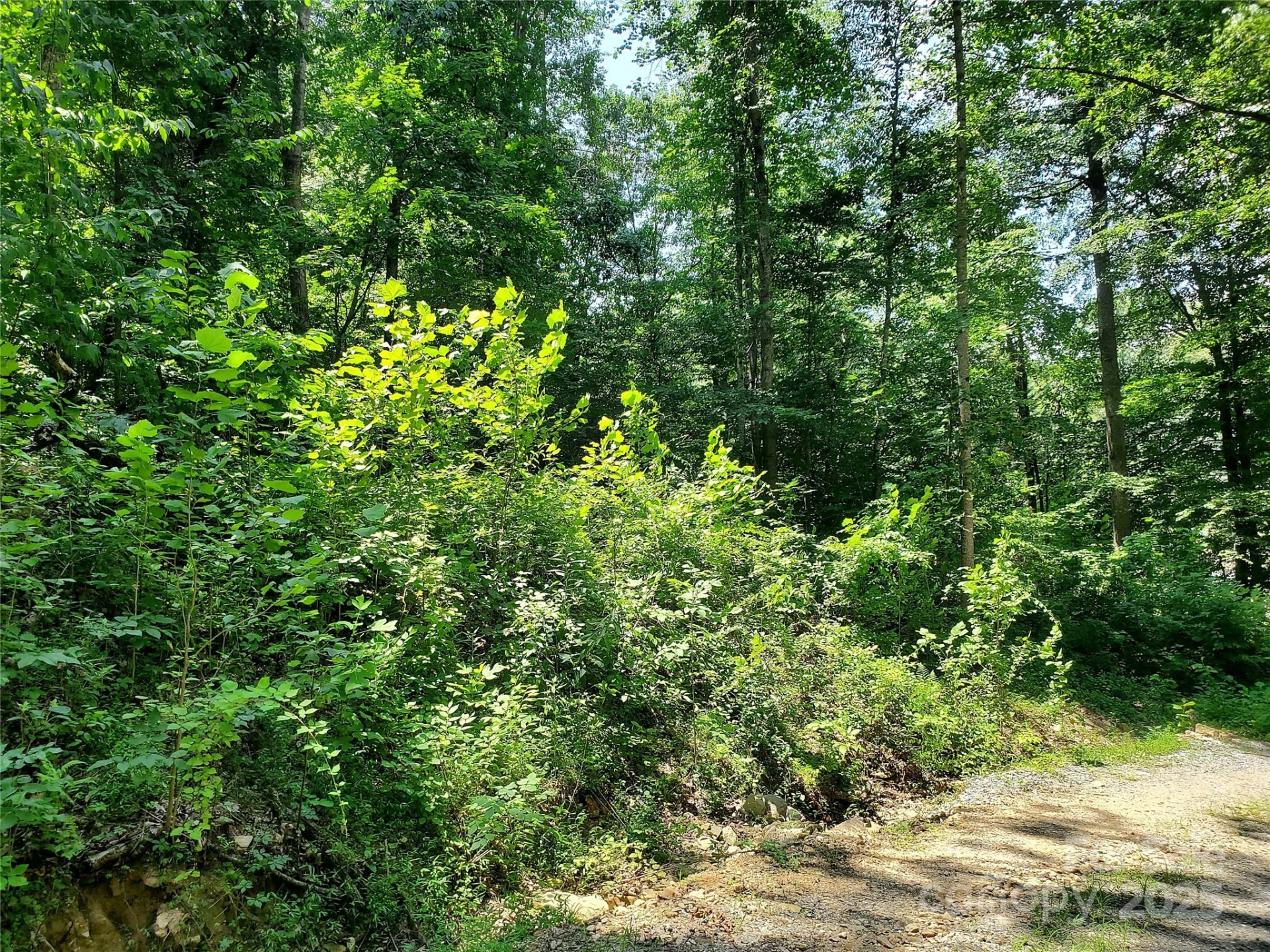 * Green River Cove Road - Photo 14