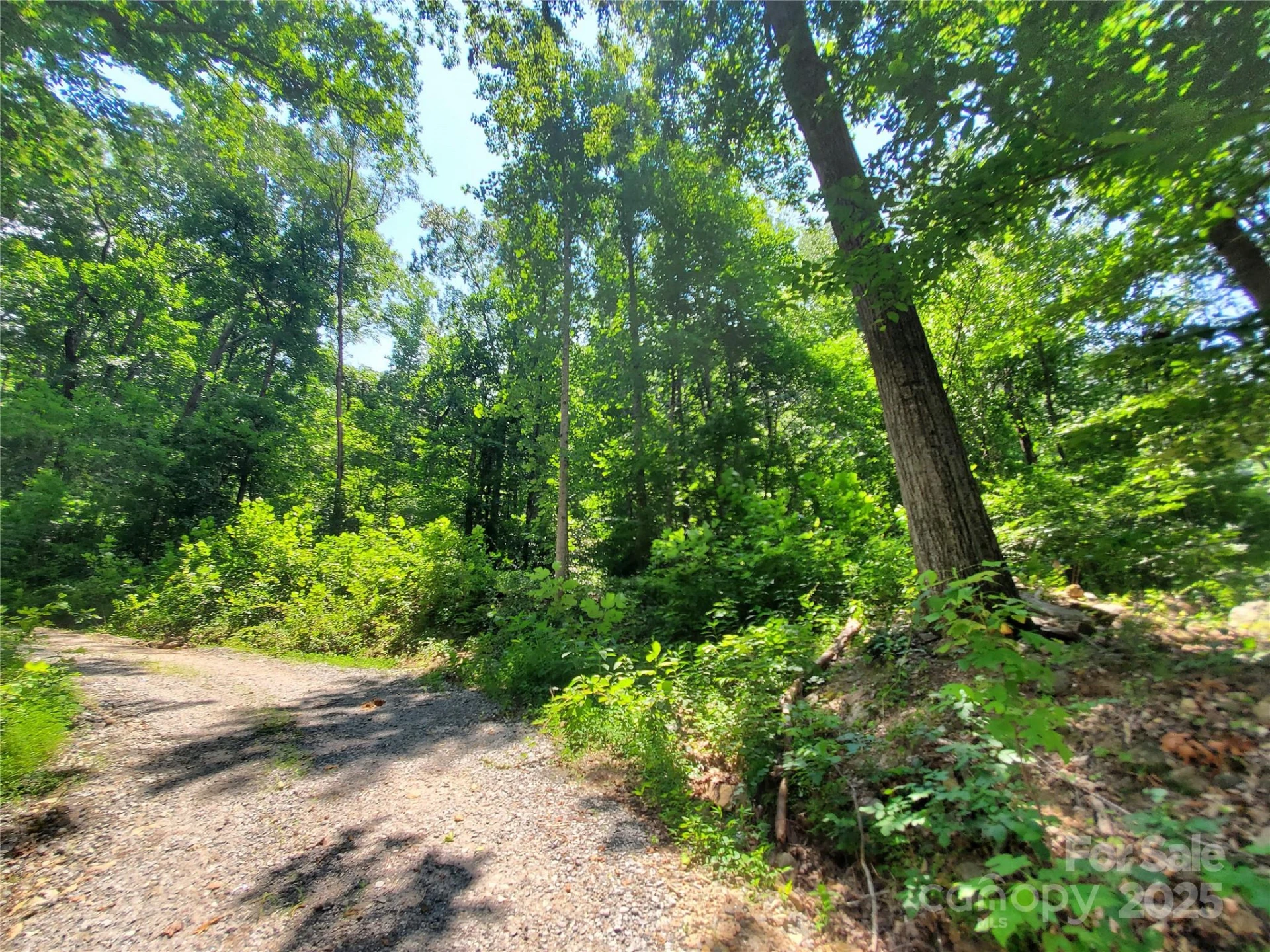 * Green River Cove Road - Photo 15