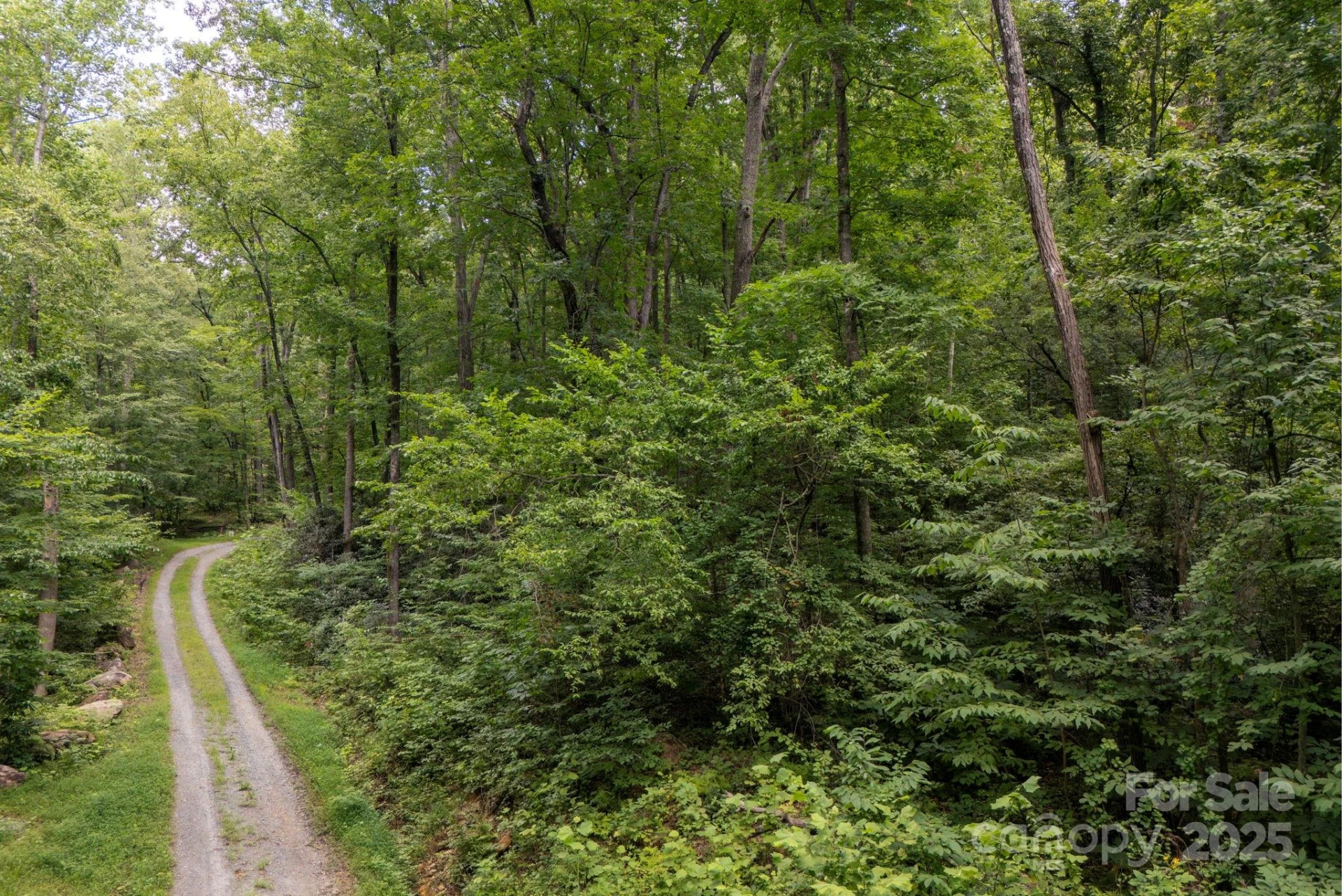 * Green River Cove Road - Photo 21