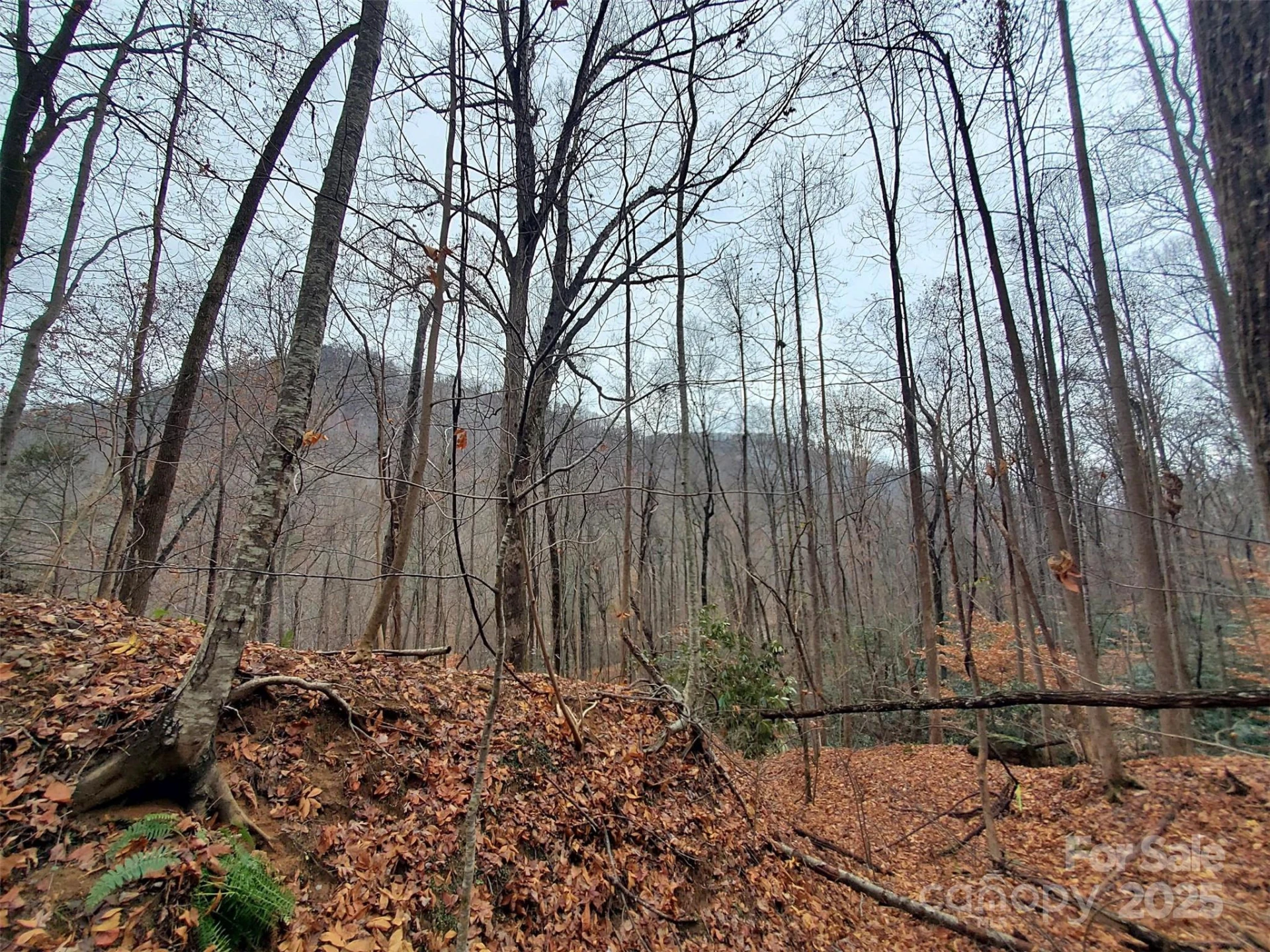 * Green River Cove Road - Photo 24