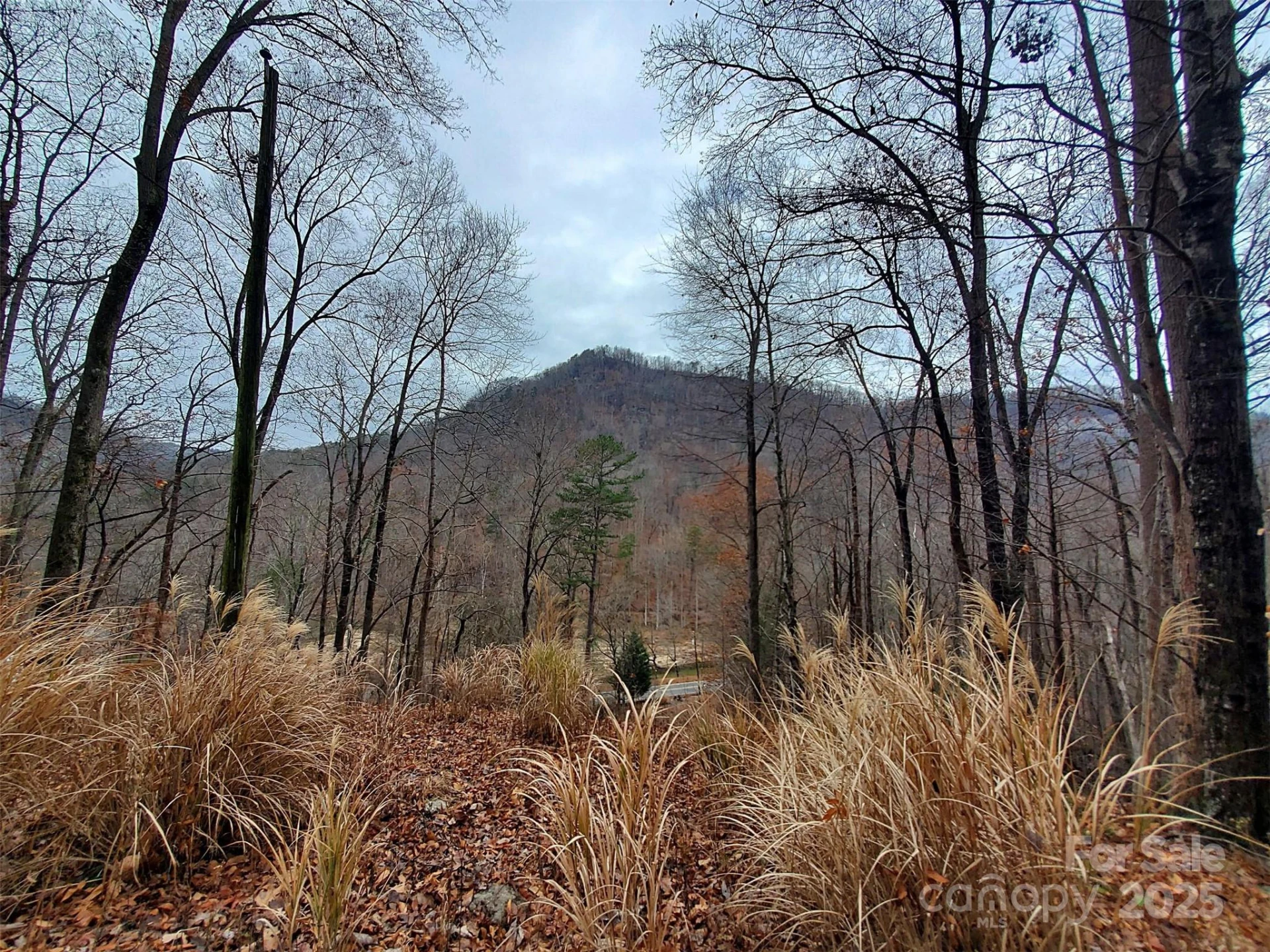 * Green River Cove Road - Photo 25