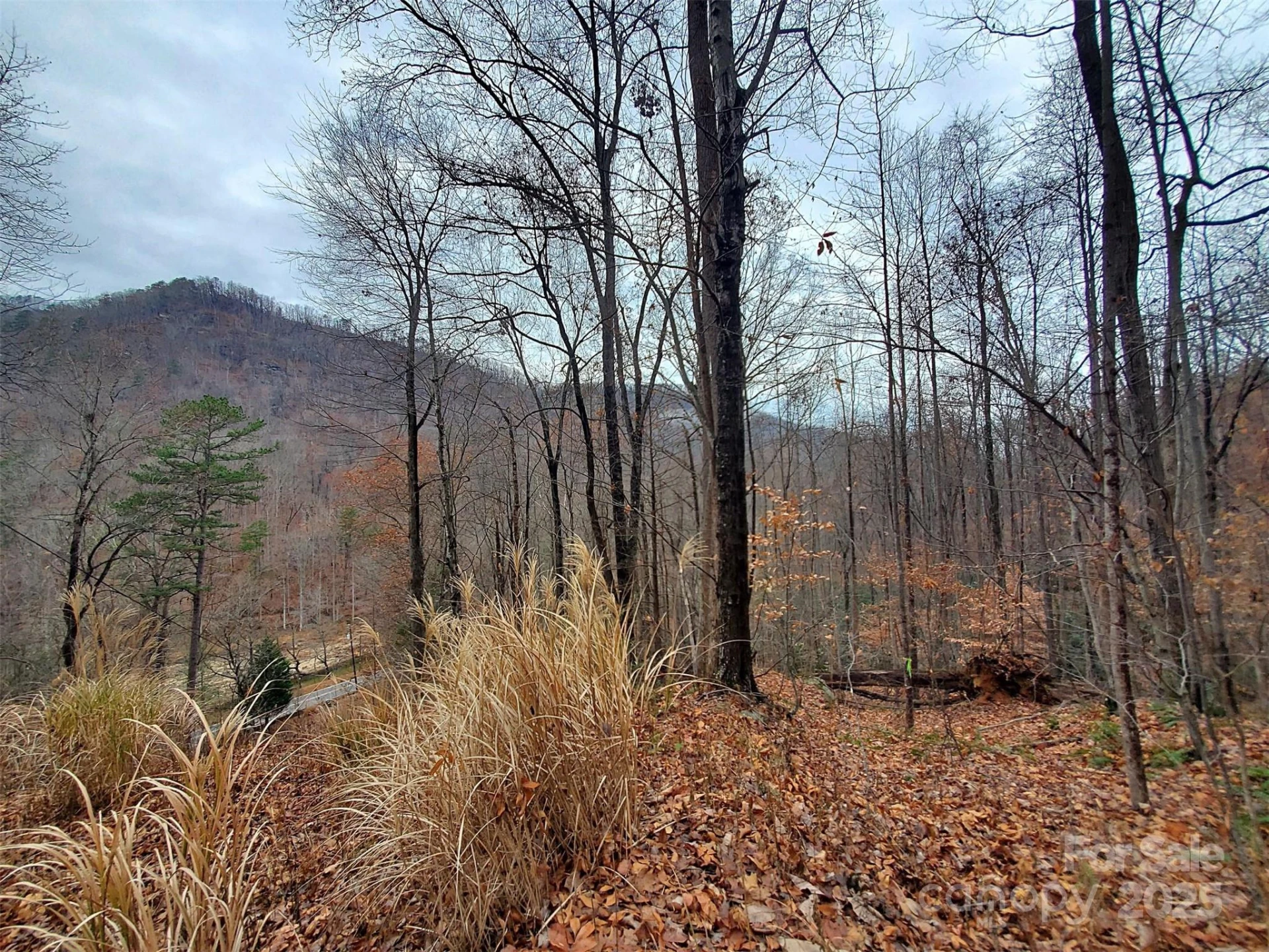 * Green River Cove Road - Photo 26
