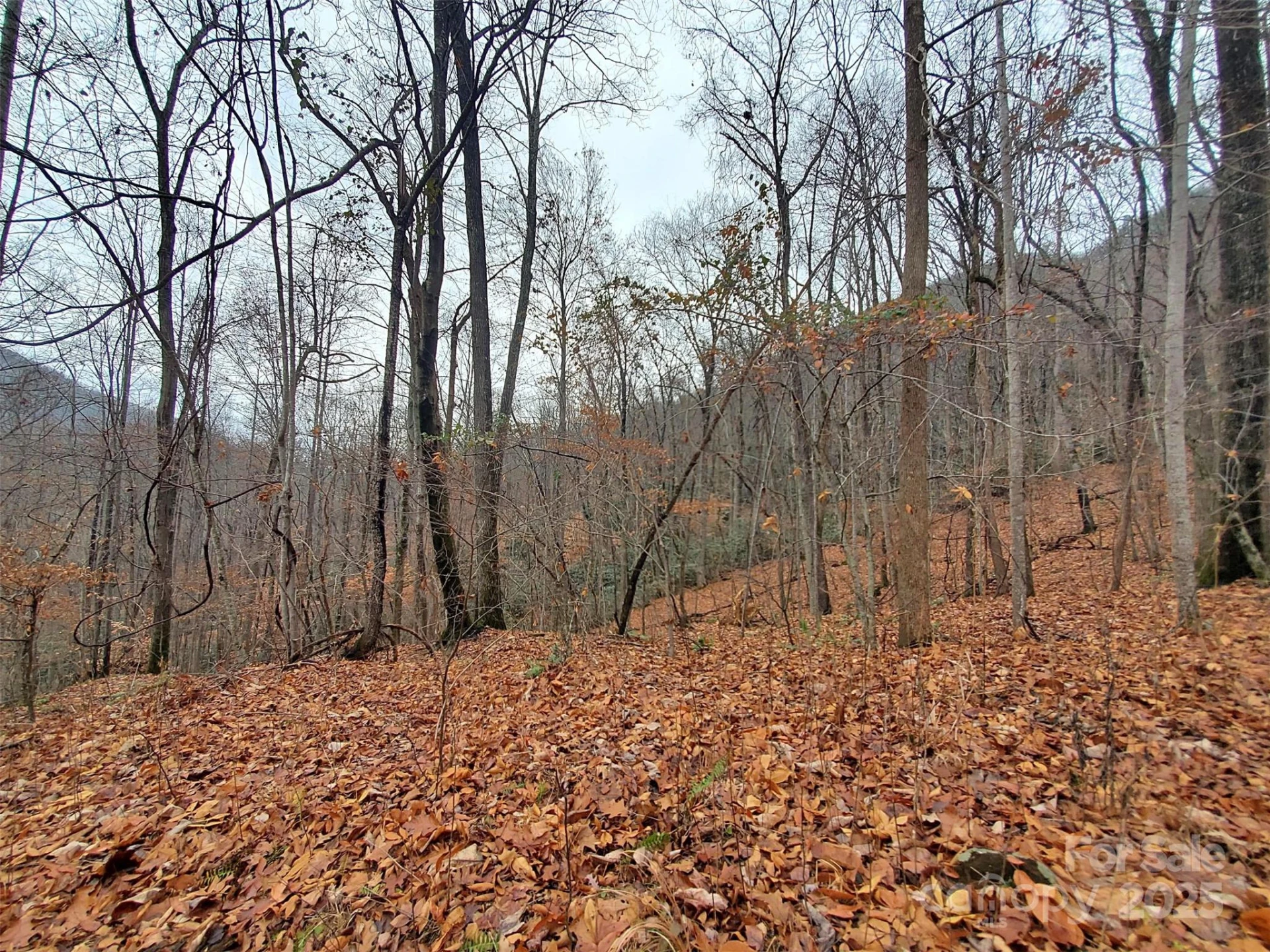 * Green River Cove Road - Photo 27