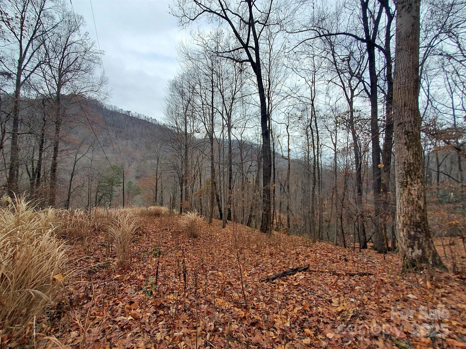 * Green River Cove Road - Photo 28