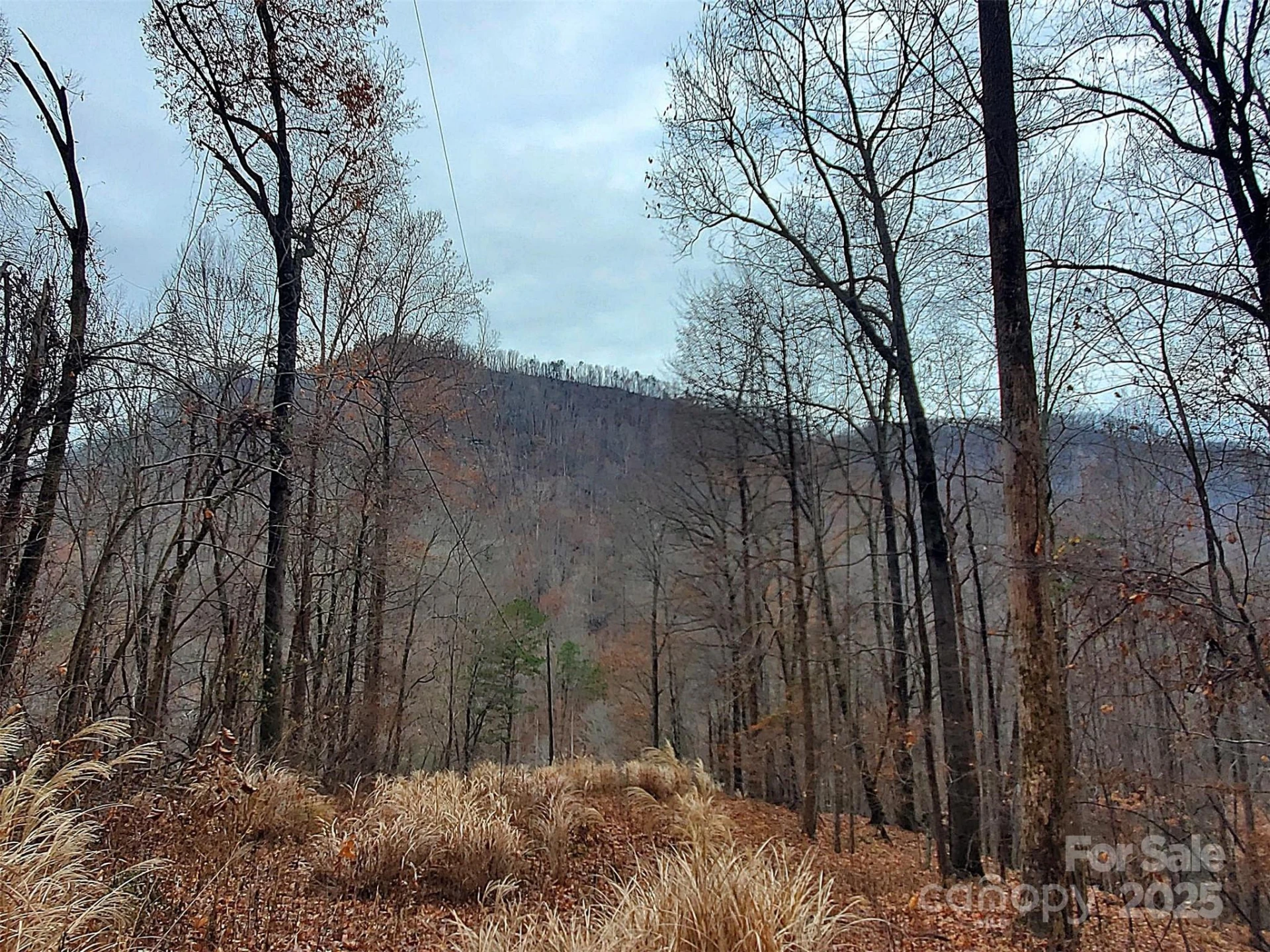 * Green River Cove Road - Photo 29