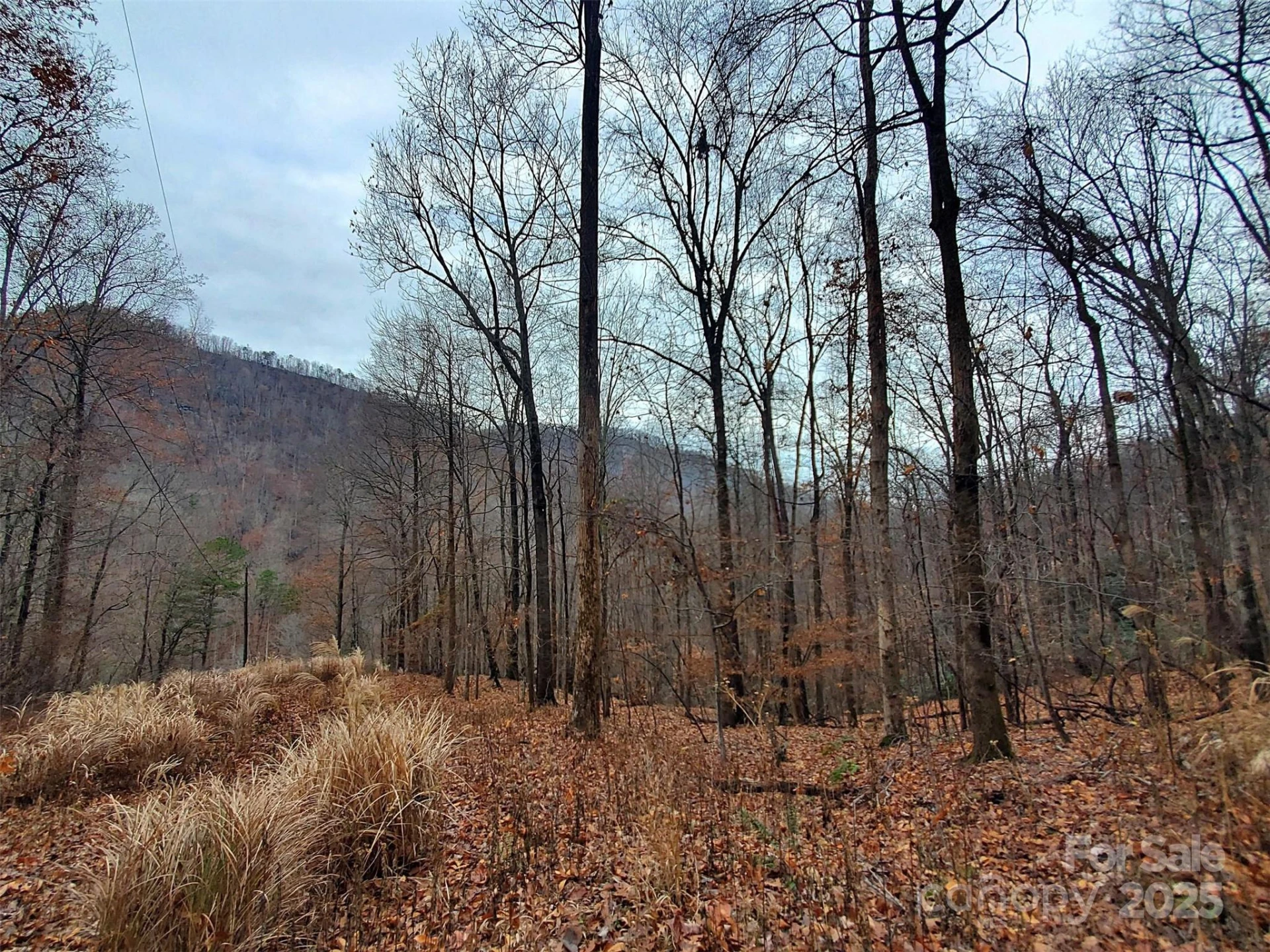 * Green River Cove Road - Photo 30
