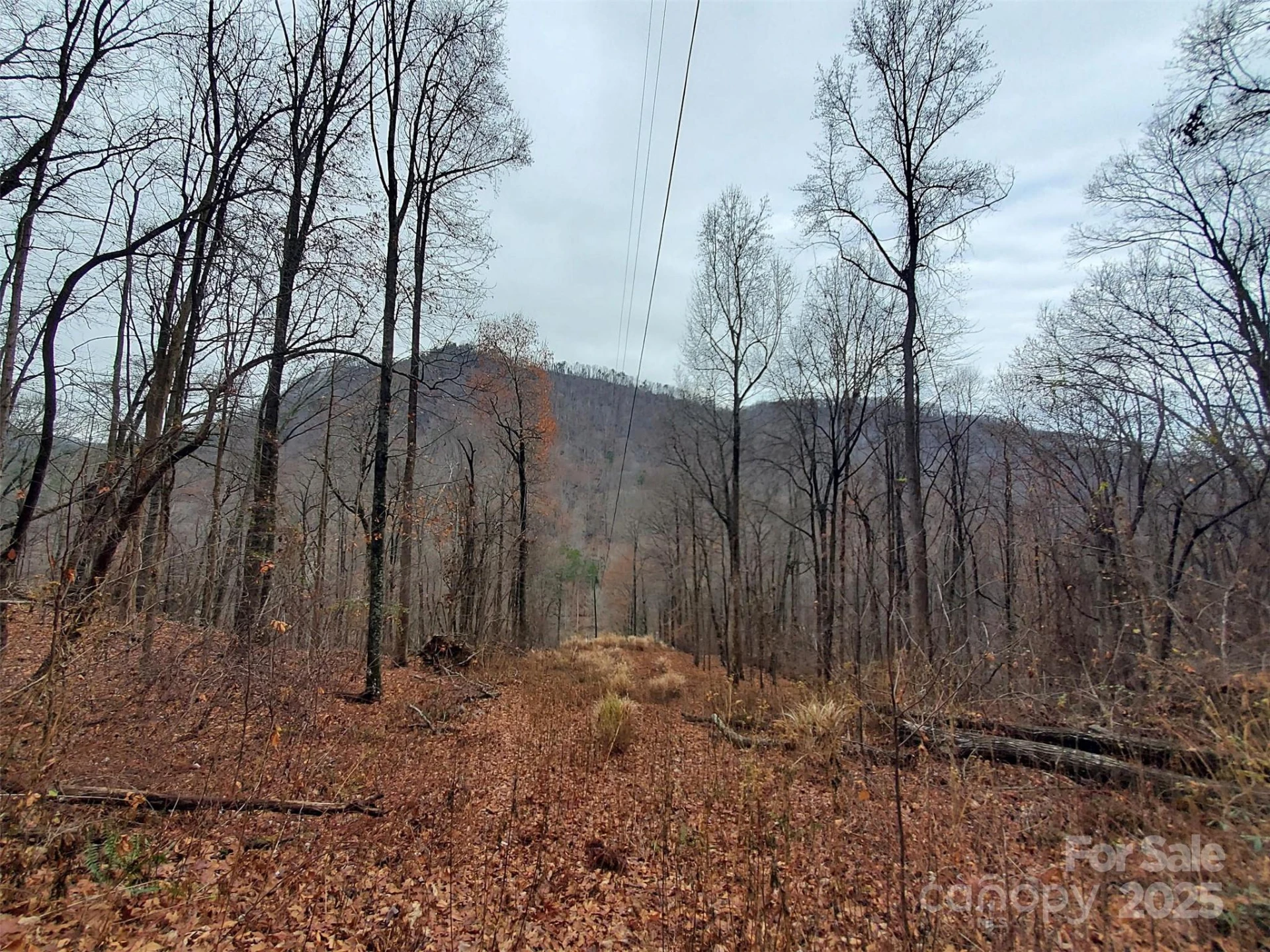 * Green River Cove Road - Photo 31