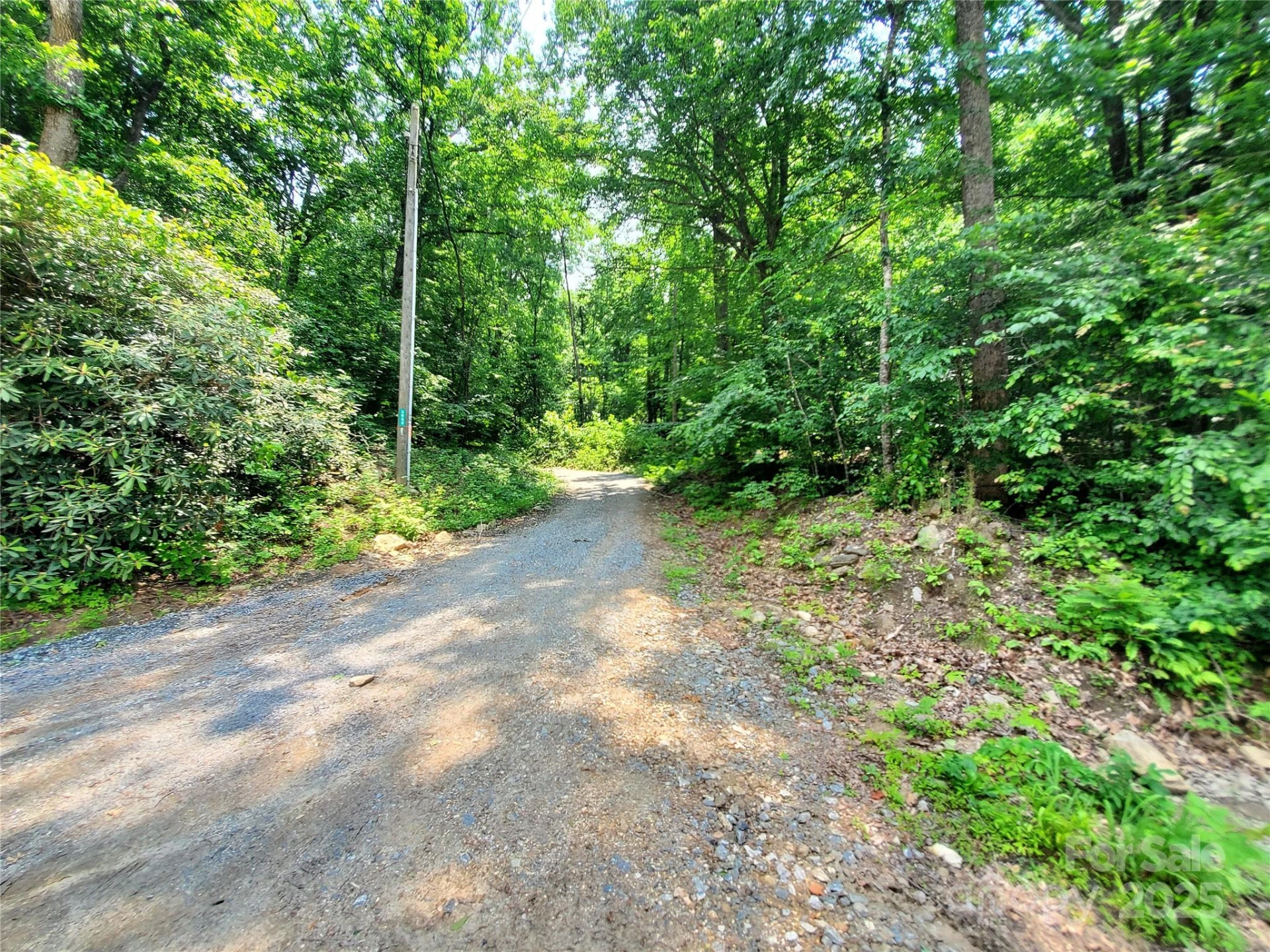 * Green River Cove Road - Photo 6