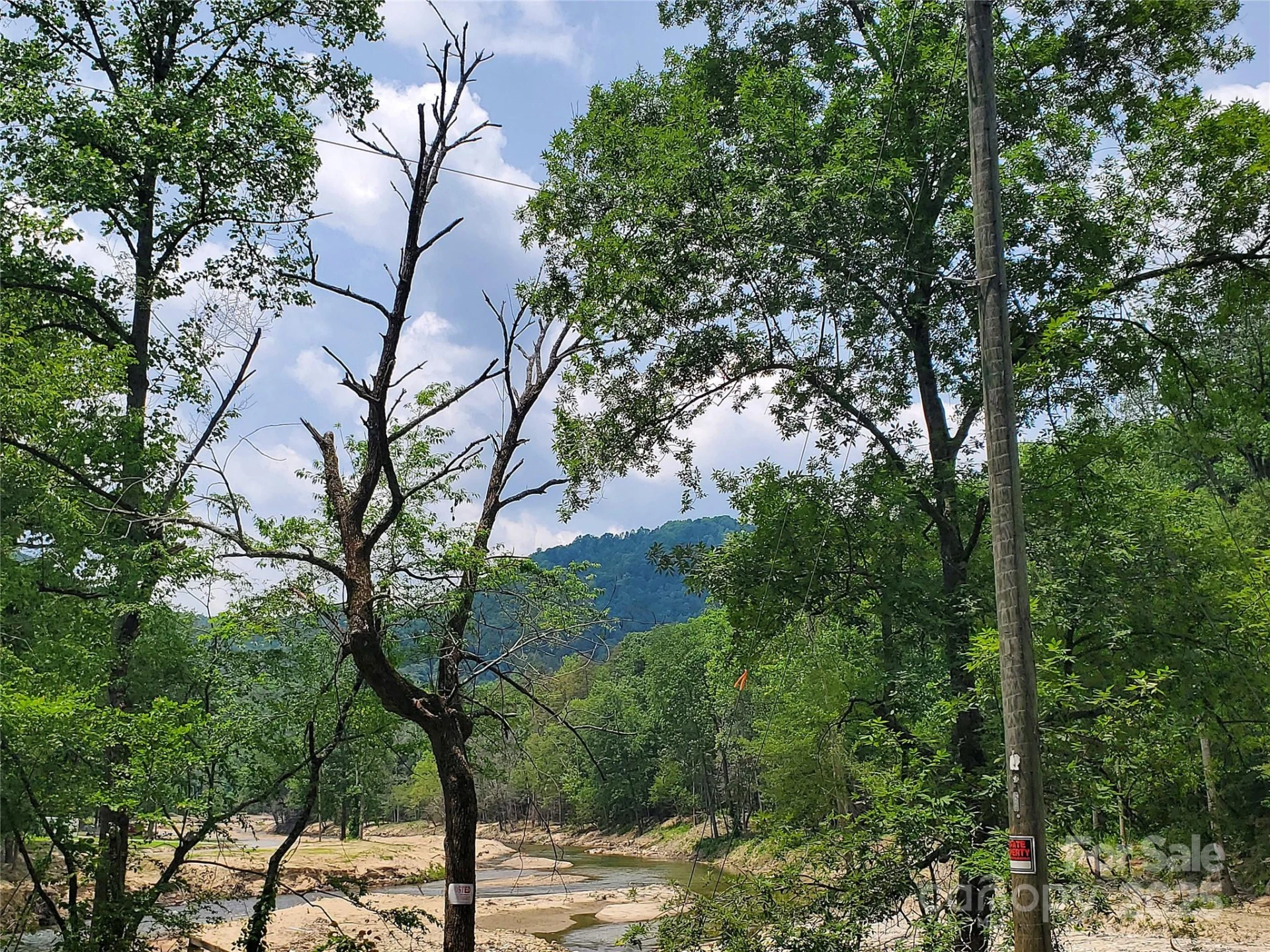 * Green River Cove Road - Photo 9