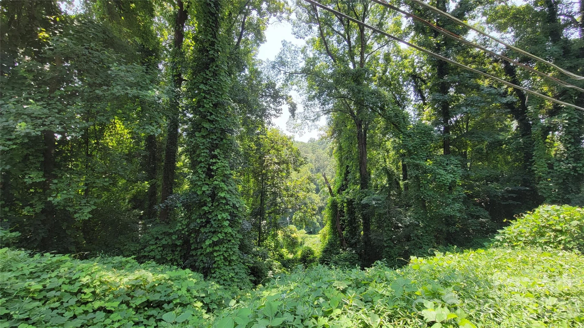 160 Cleveland Road - Photo 33