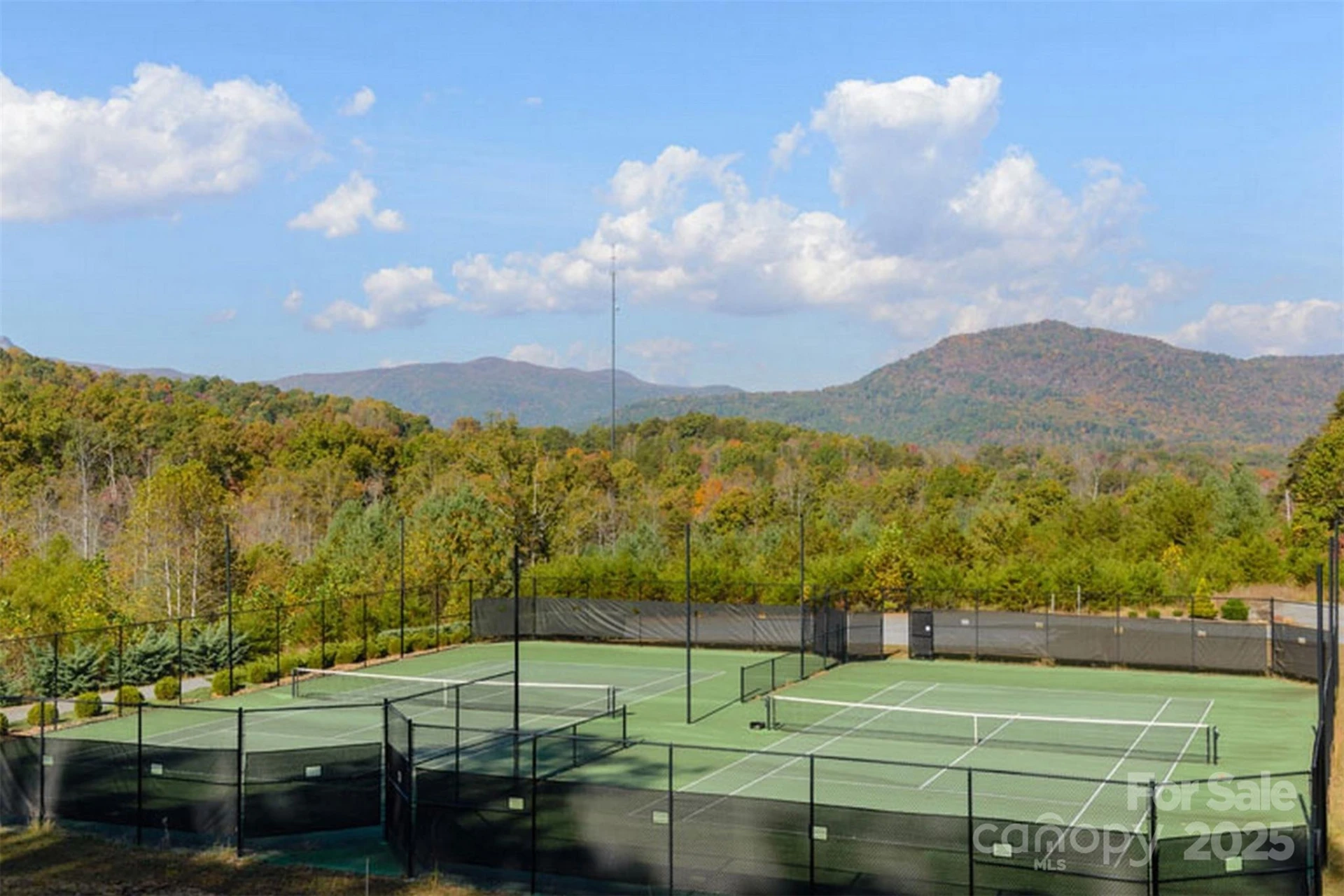 241 Rock Ledge Drive - Photo 25
